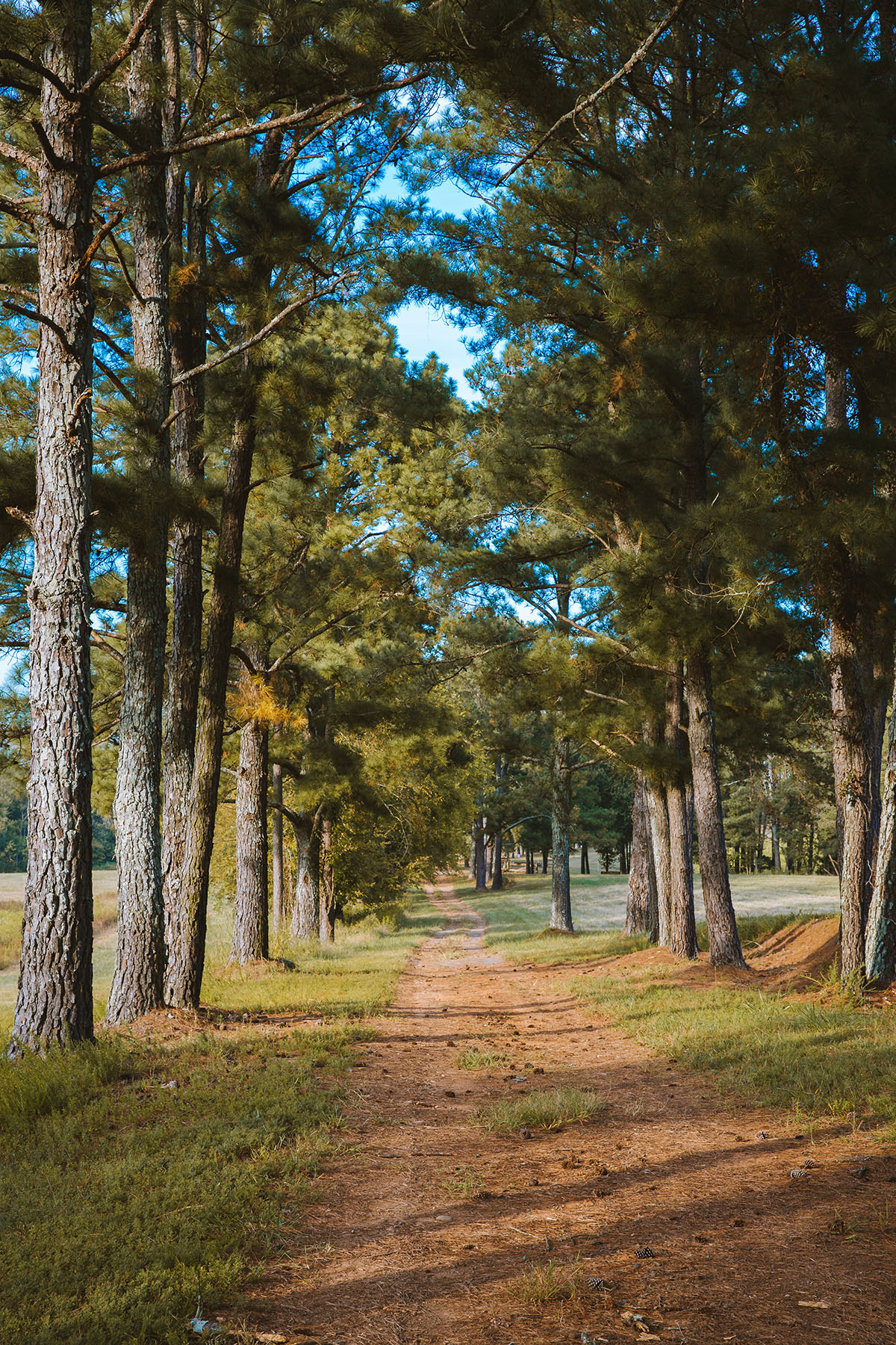 Fork Farm & Stables property picture 60 of 121