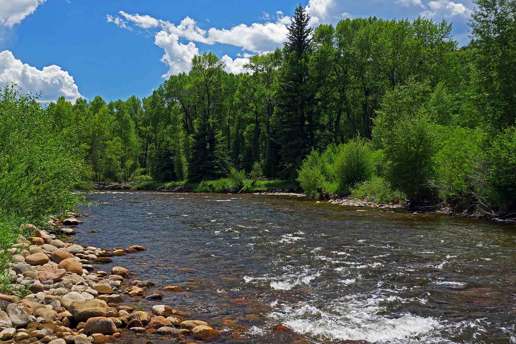 Rooney's Round Mountain Ranch property picture 16 of 16