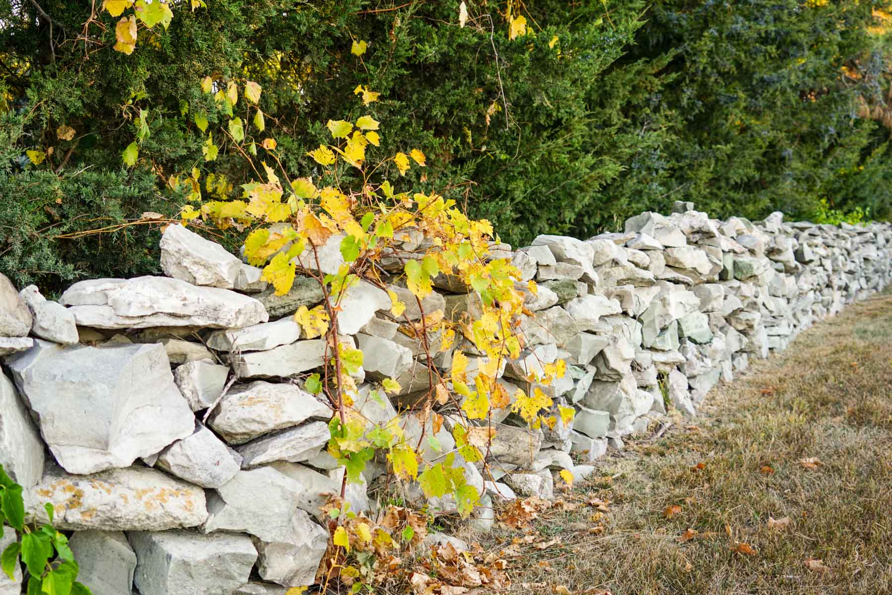 Budde Reservoir Farm property picture 61 of 67
