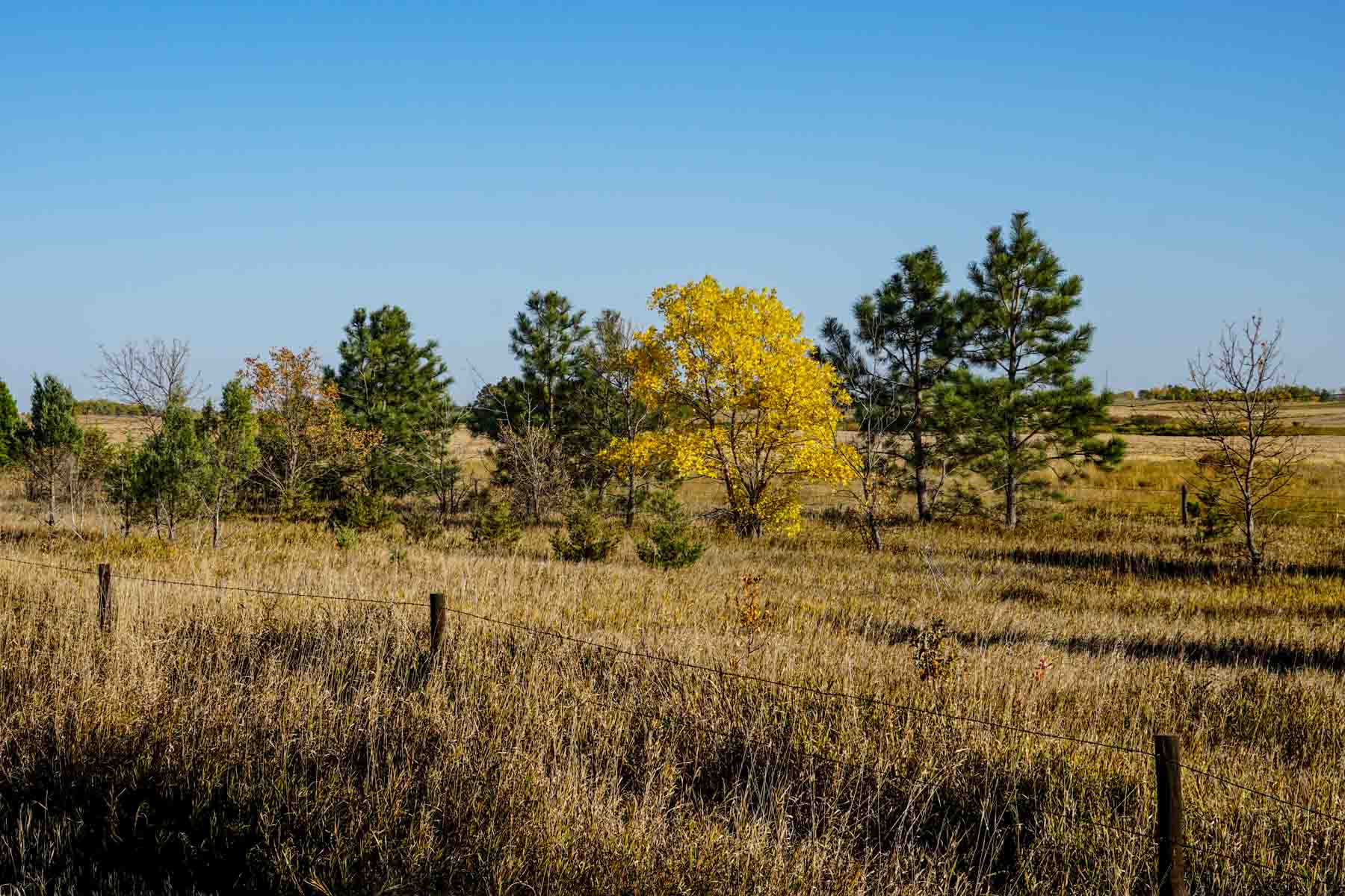 Budde Reservoir Farm property picture 16 of 67