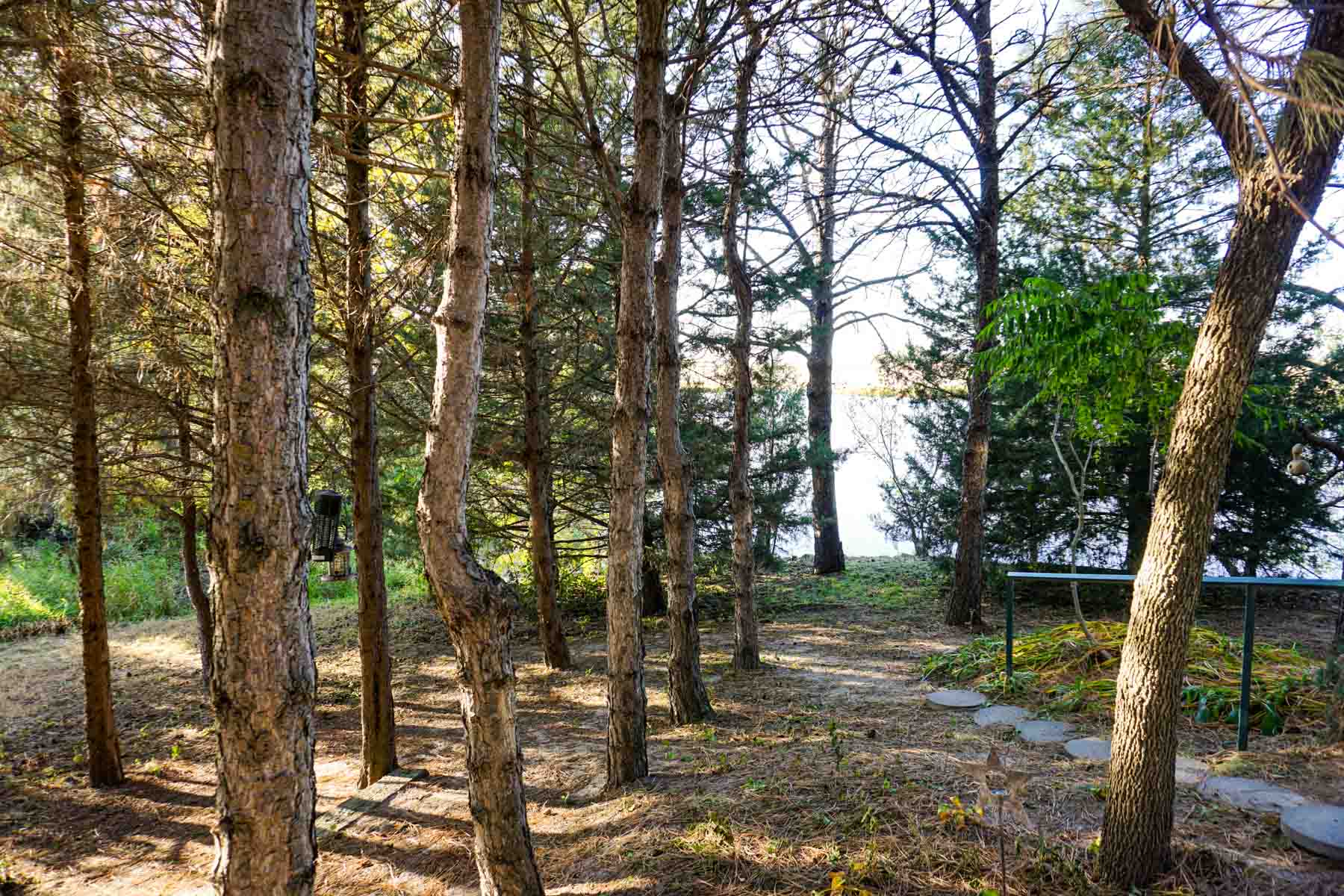 Budde Reservoir Farm property picture 31 of 67