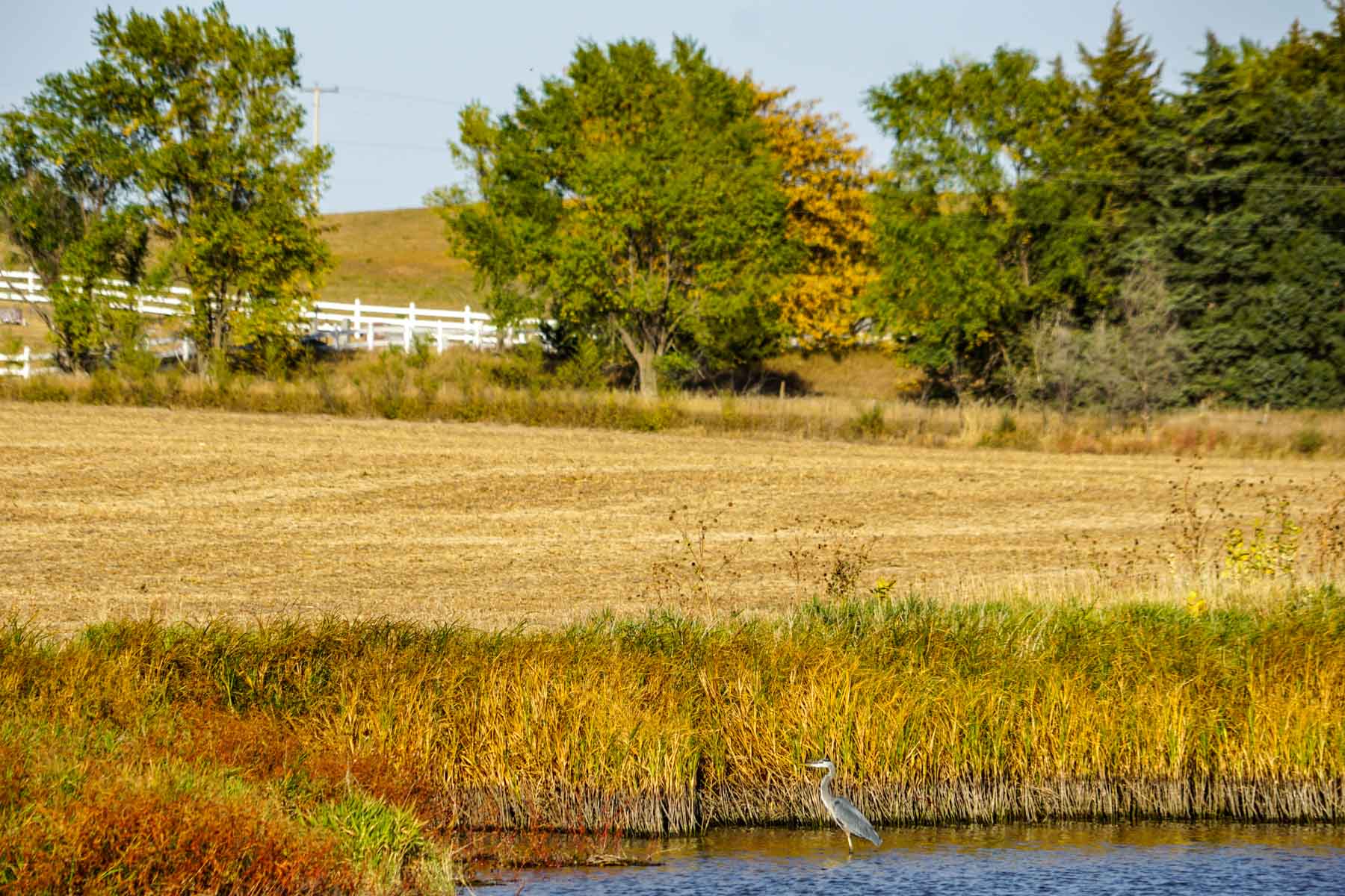 Budde Reservoir Farm property picture 25 of 67