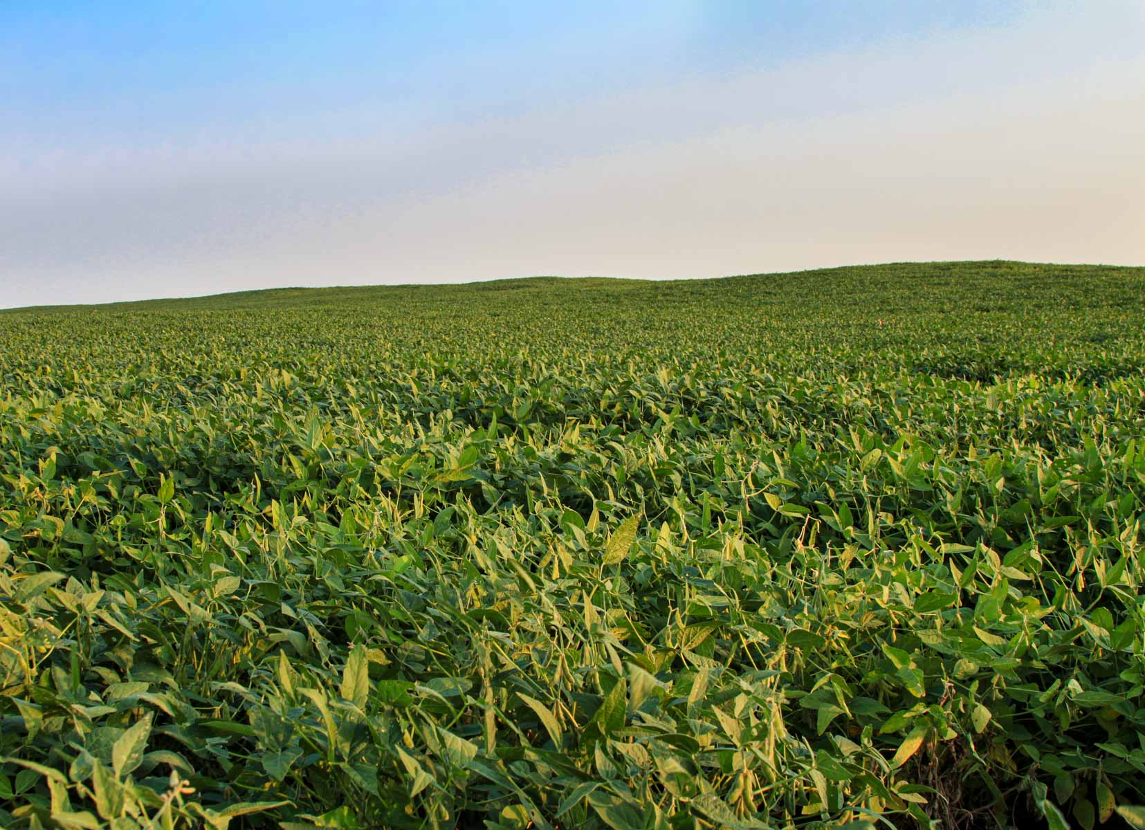 Budde Reservoir Farm property picture 67 of 67