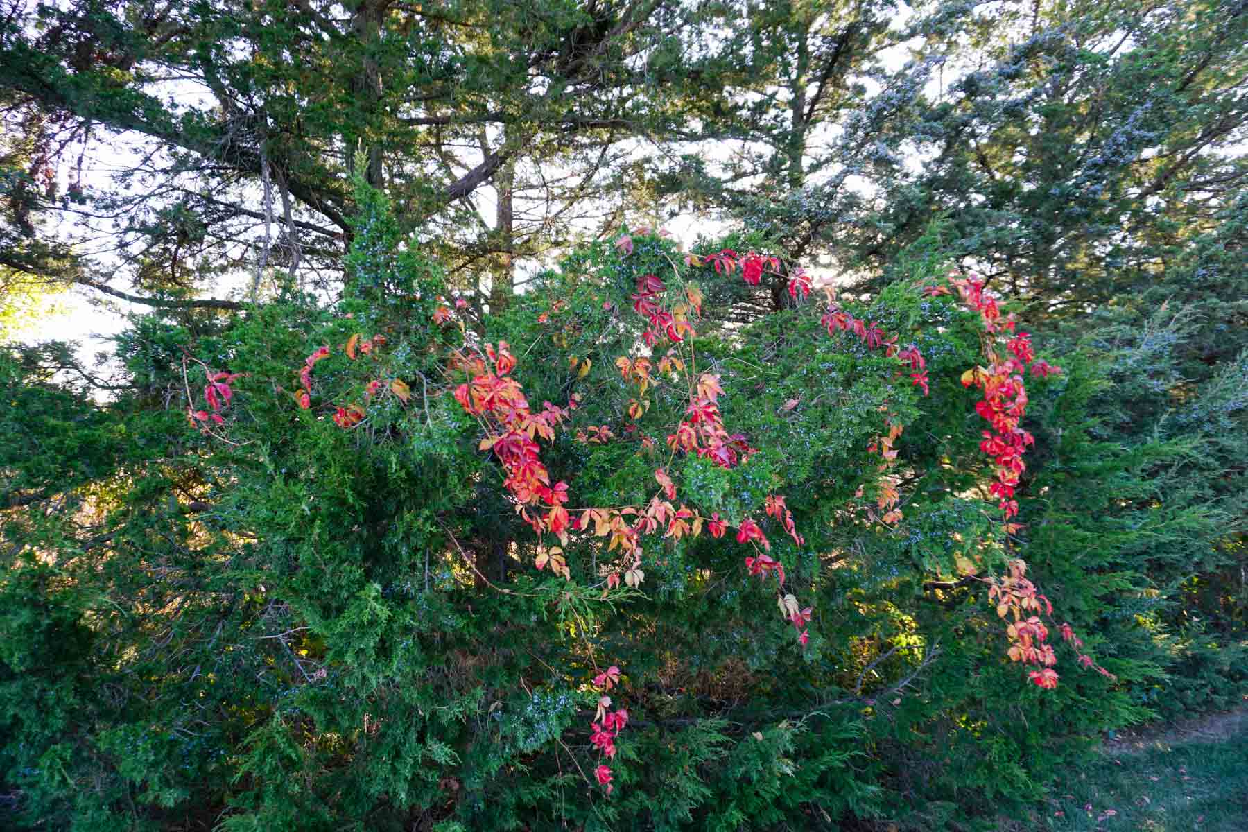 Budde Reservoir Farm property picture 53 of 67
