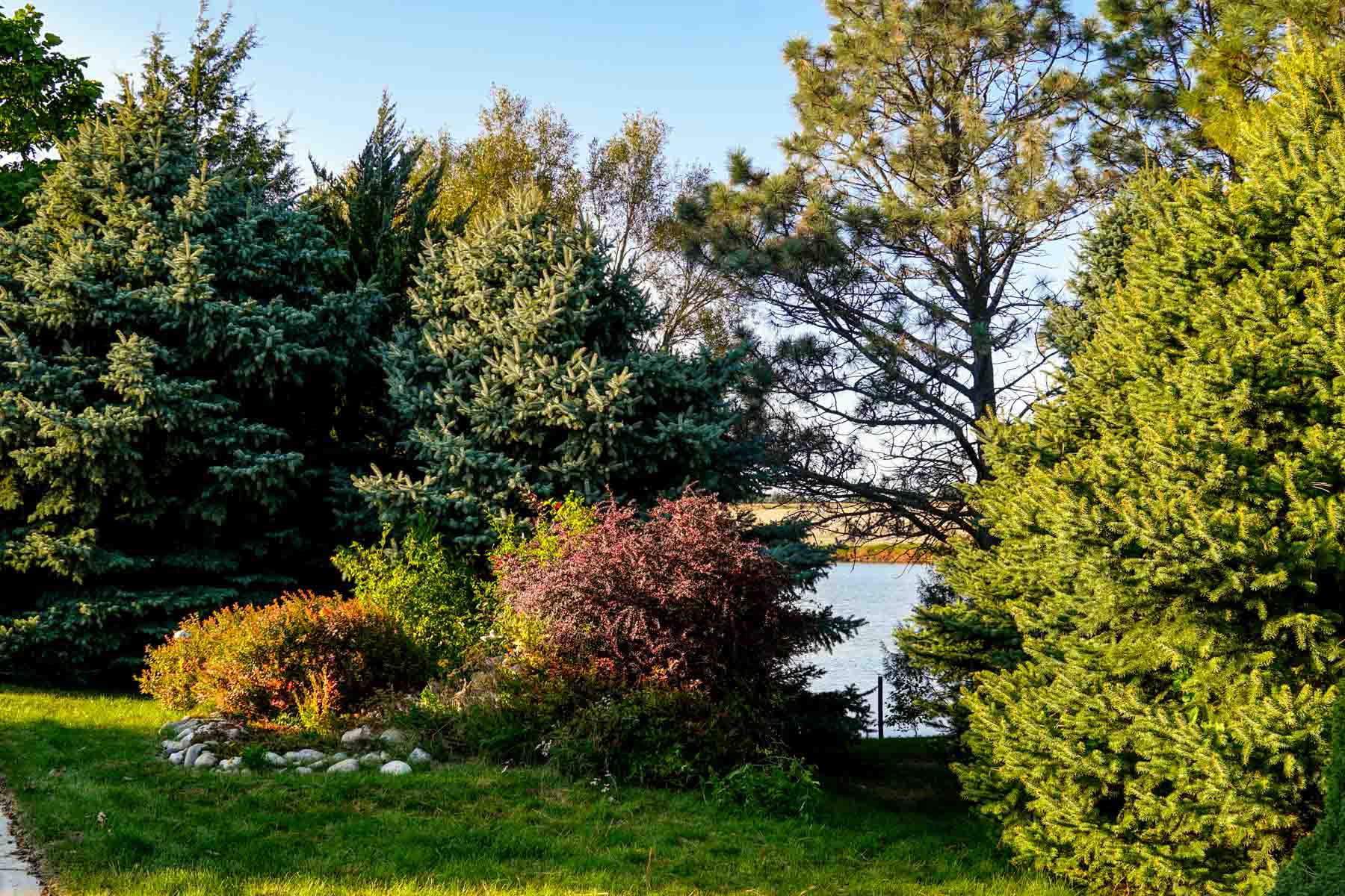 Budde Reservoir Farm property picture 28 of 67