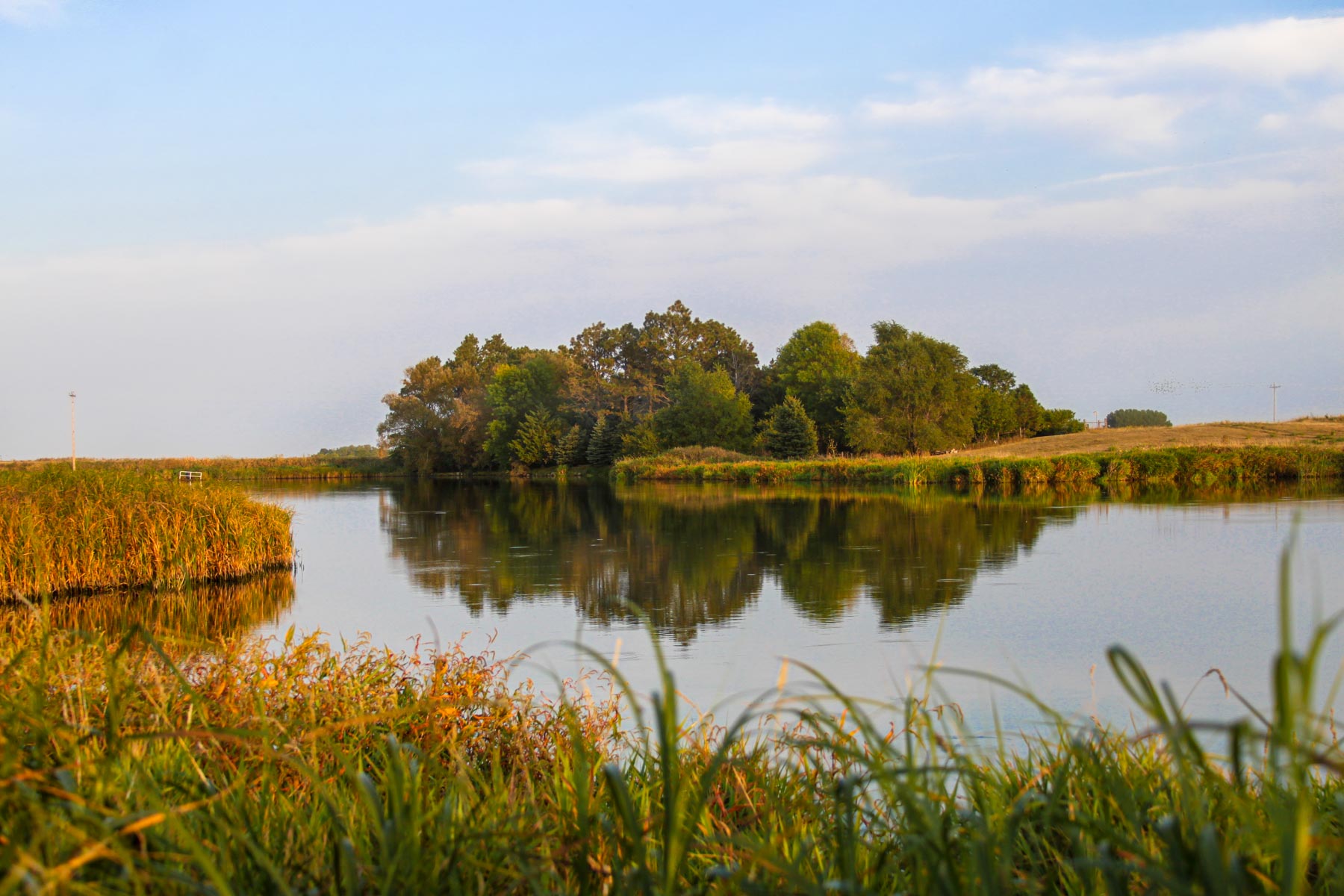 Budde Reservoir Farm property picture 14 of 67