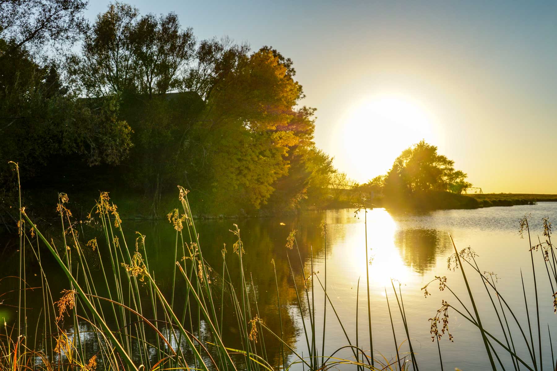 Budde Reservoir Farm property picture 11 of 67