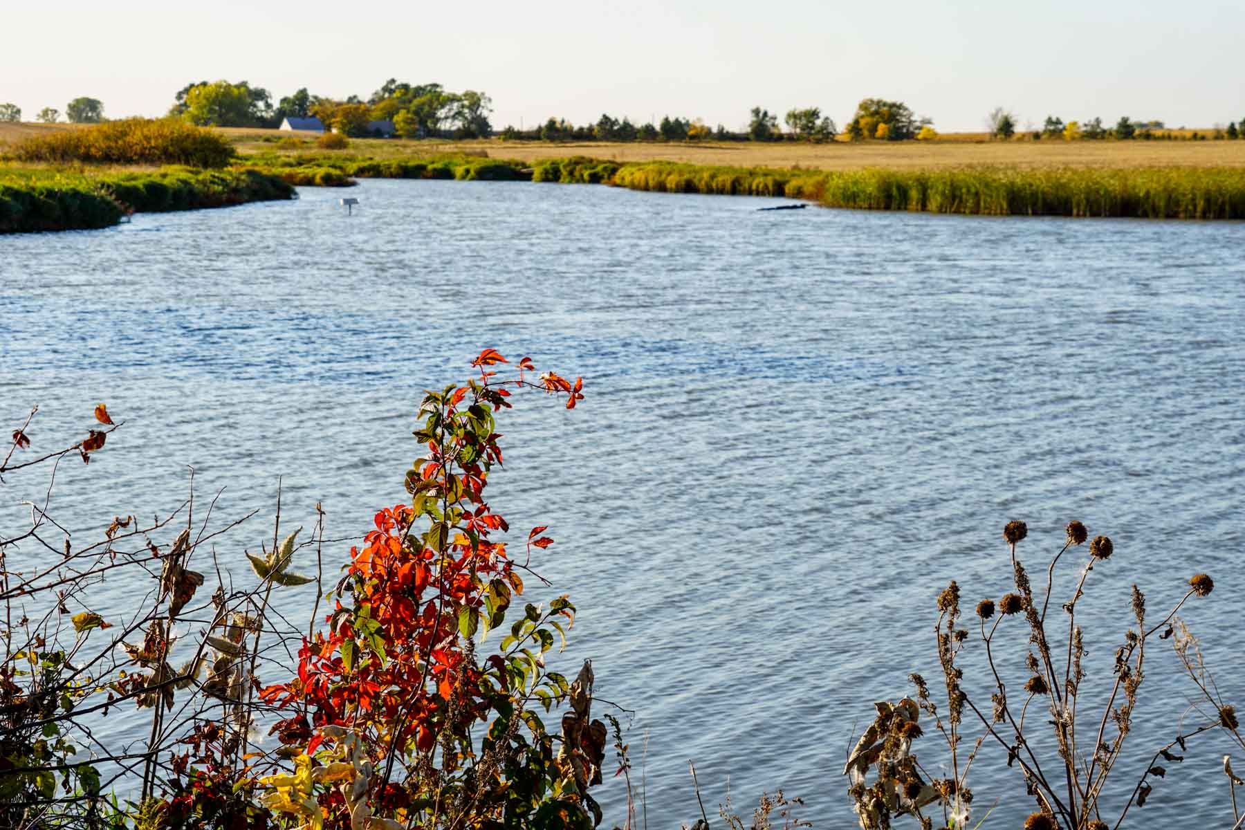 Budde Reservoir Farm property picture 26 of 67