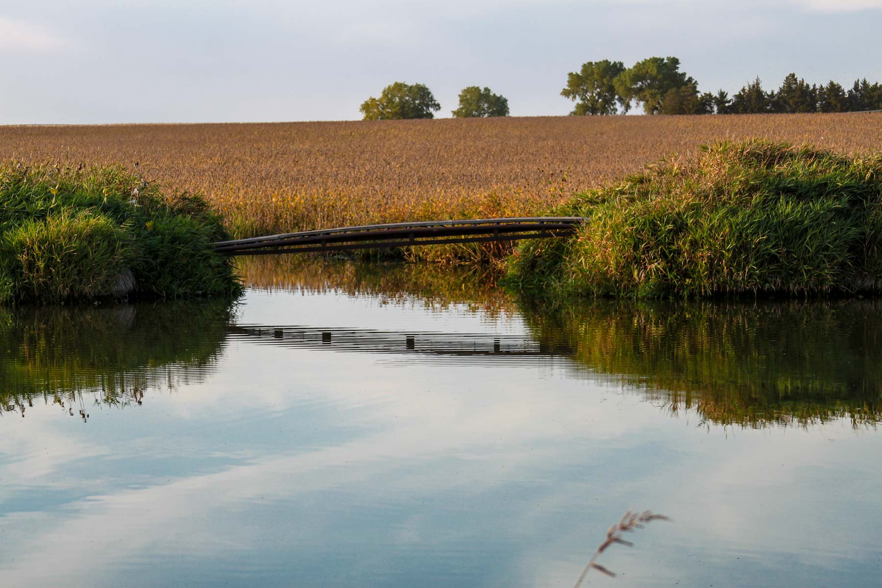 Budde Reservoir Farm property picture 13 of 67