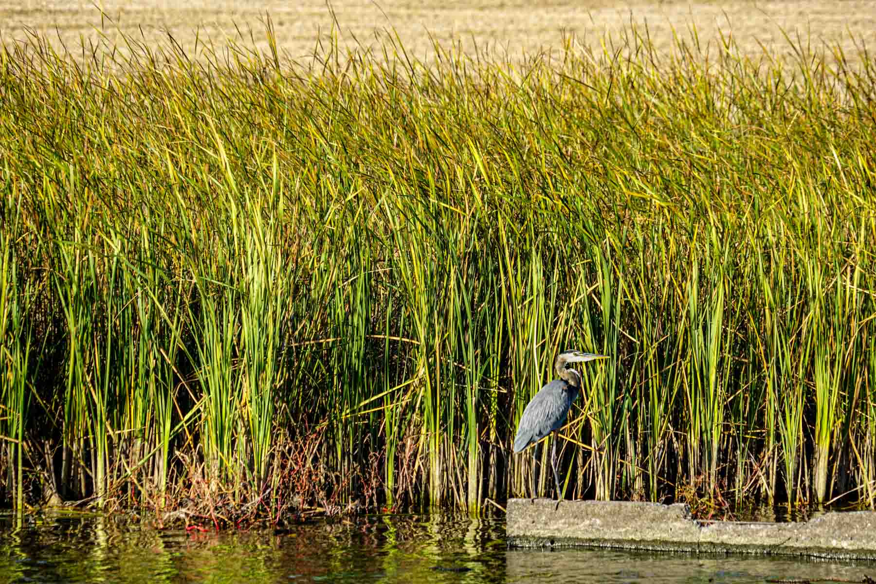 Budde Reservoir Farm property picture 24 of 67