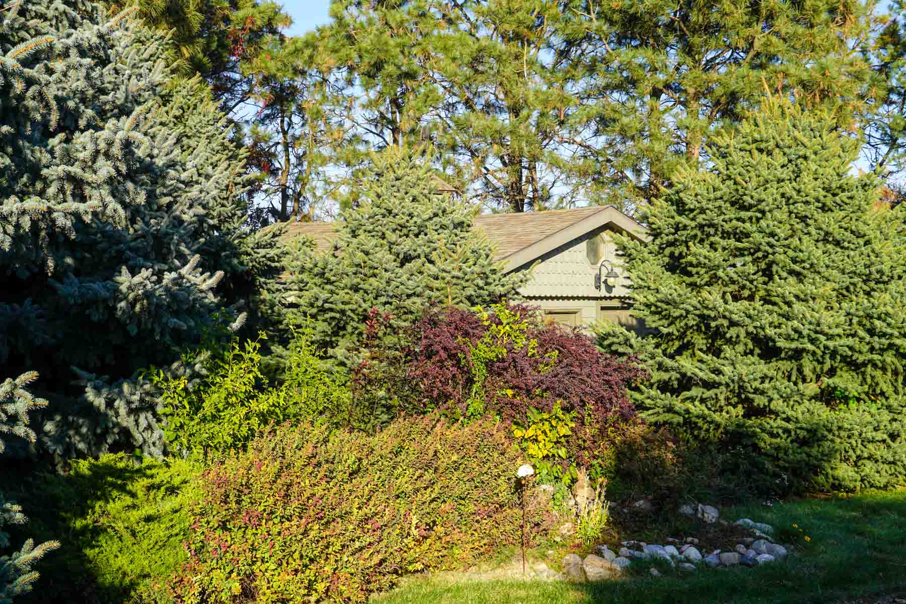 Budde Reservoir Farm property picture 29 of 67