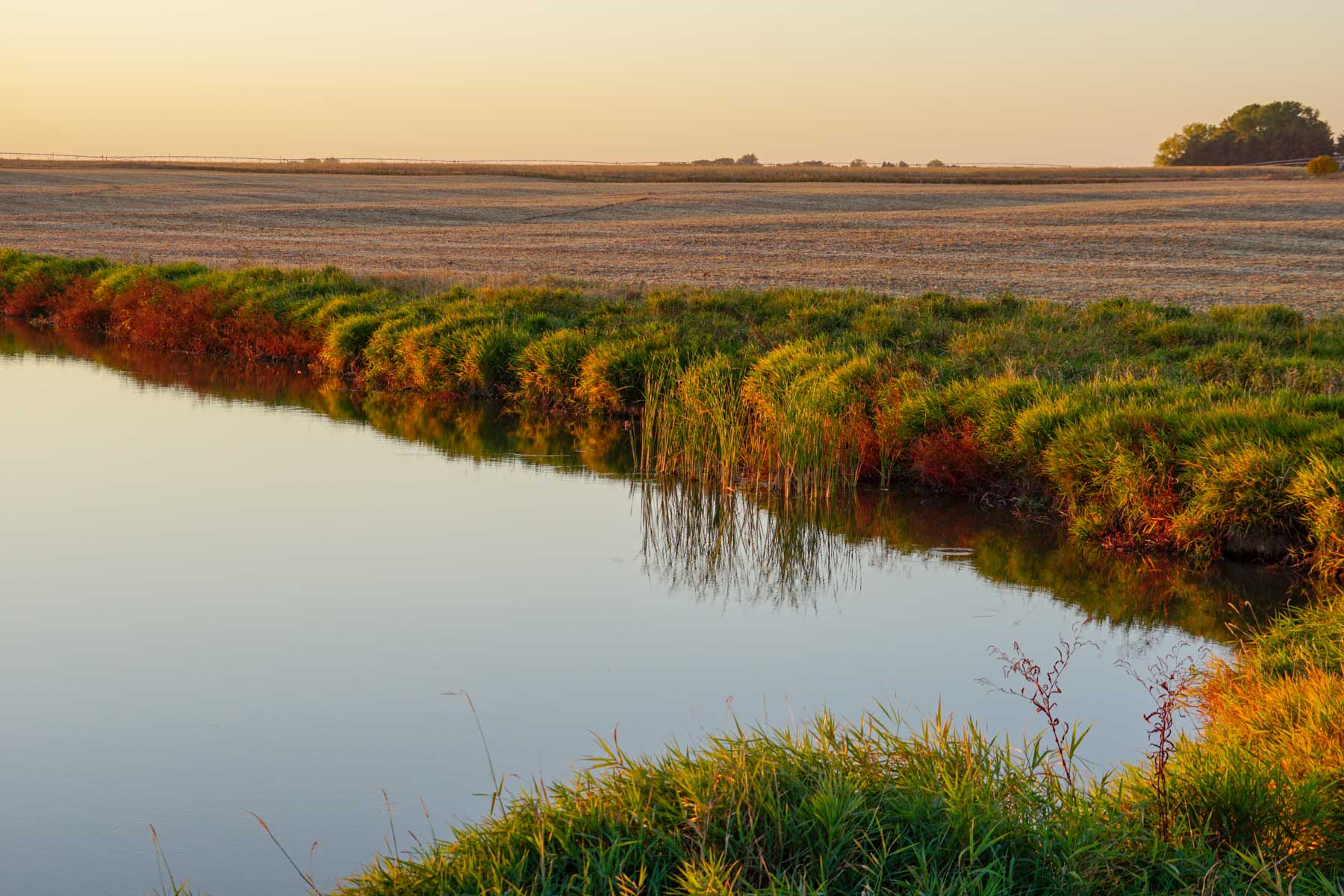 Budde Reservoir Farm property picture 12 of 67