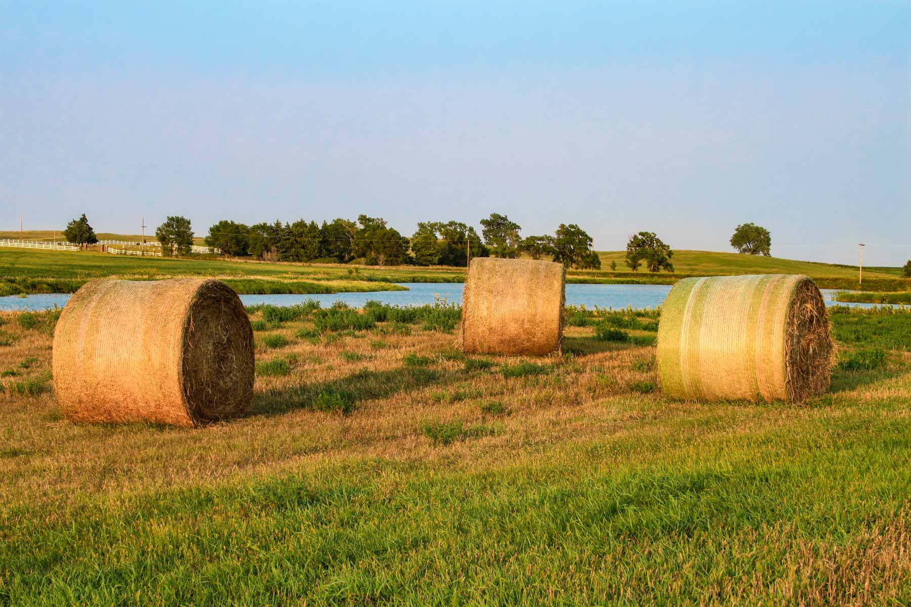 Budde Reservoir Farm property picture 7 of 67