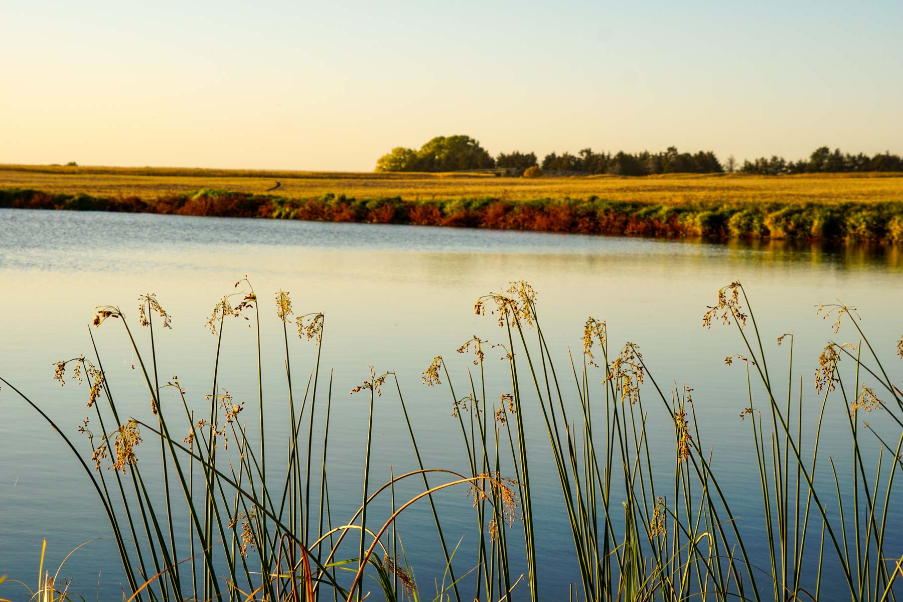 Budde Reservoir Farm property picture 8 of 67