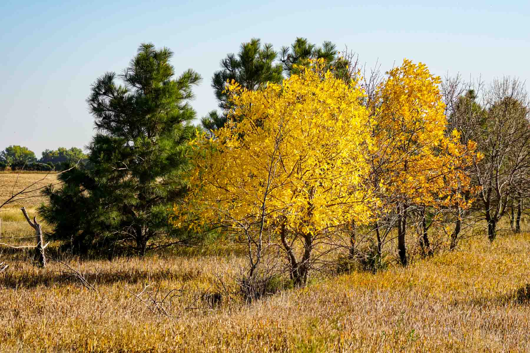 Budde Reservoir Farm property picture 15 of 67