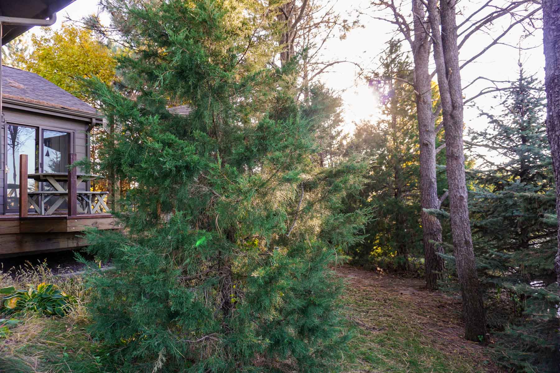 Budde Reservoir Farm property picture 30 of 67