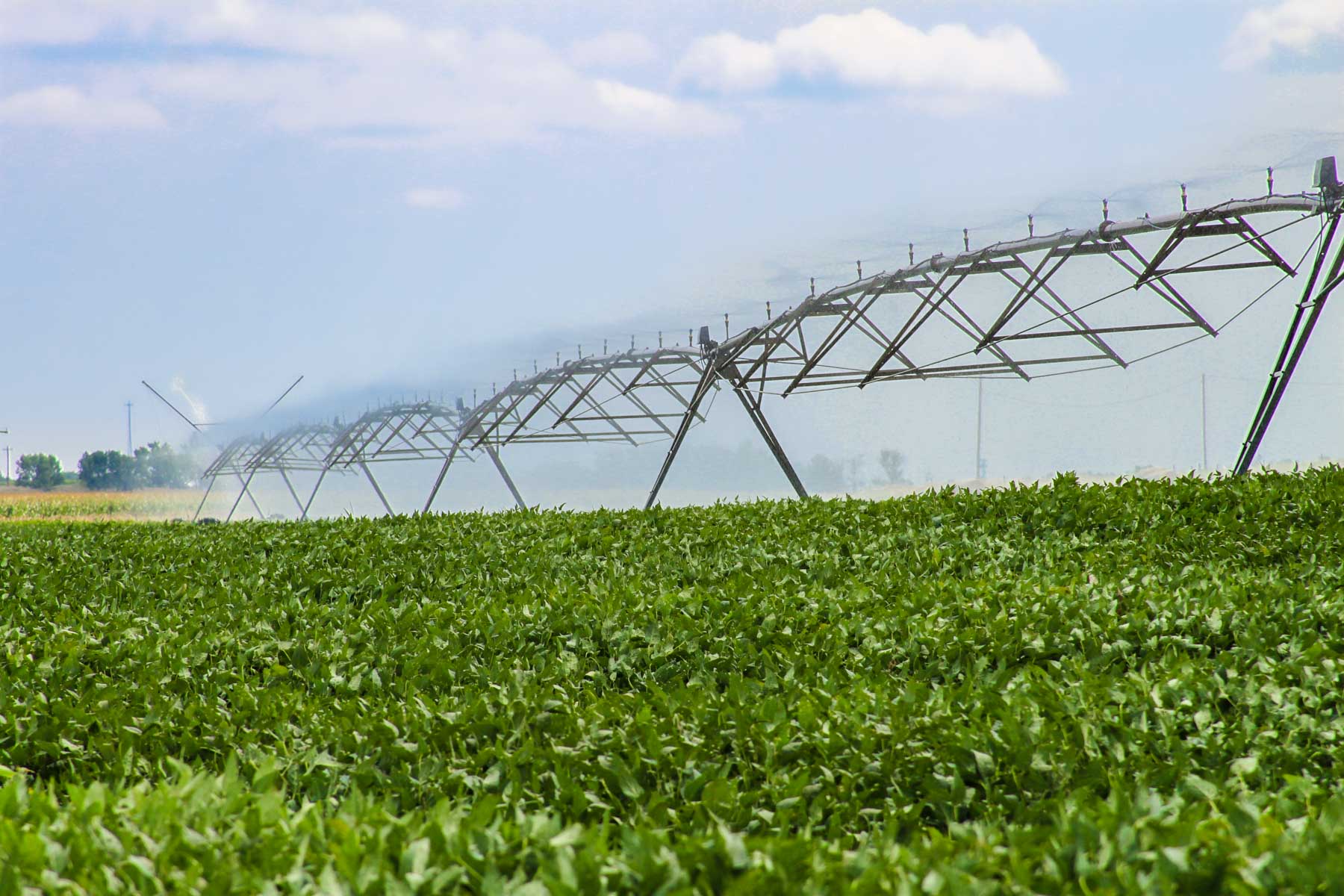 Budde Reservoir Farm property picture 5 of 67