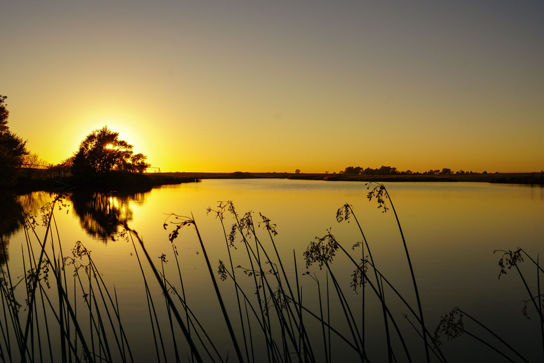 Budde Reservoir Farm property picture 62 of 67