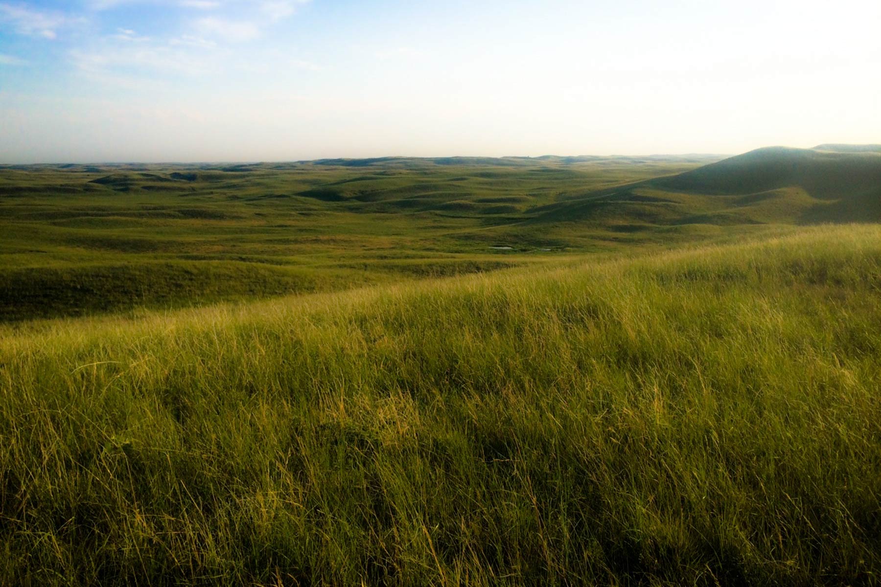 AL Ranch property picture 79 of 98