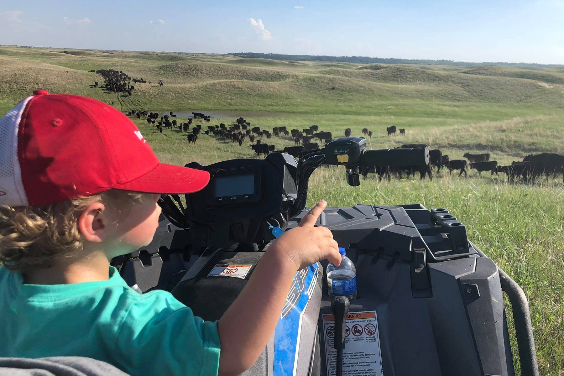 AL Ranch property picture 94 of 98