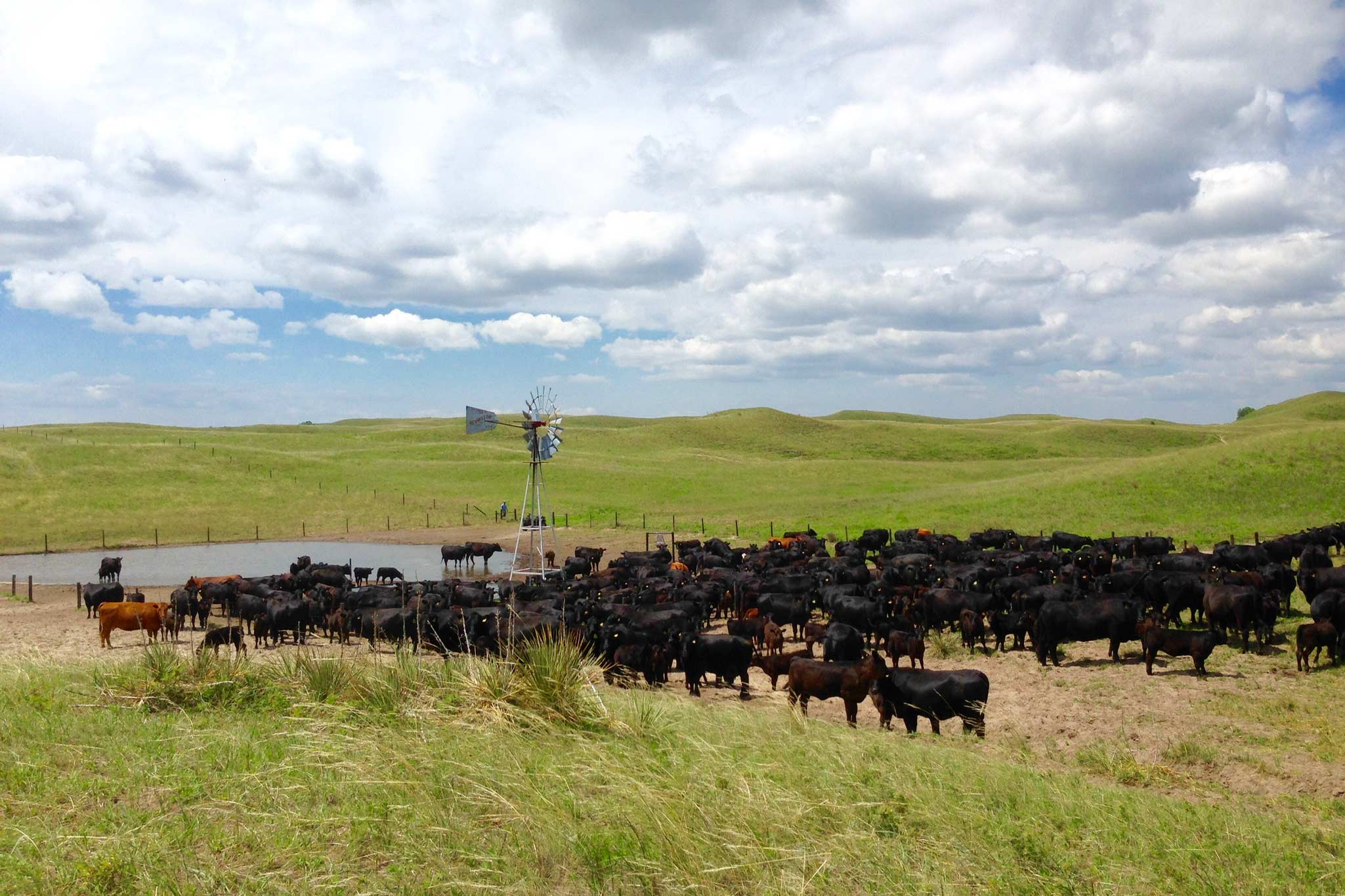 AL Ranch property picture 7 of 98