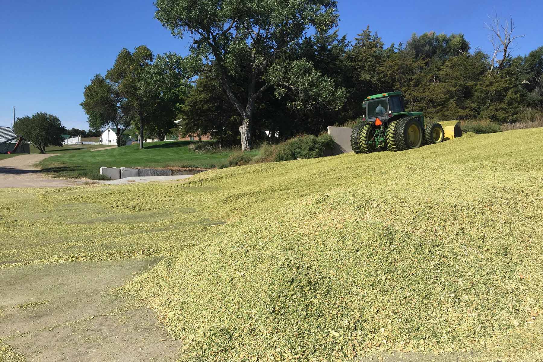 AL Ranch property picture 95 of 98