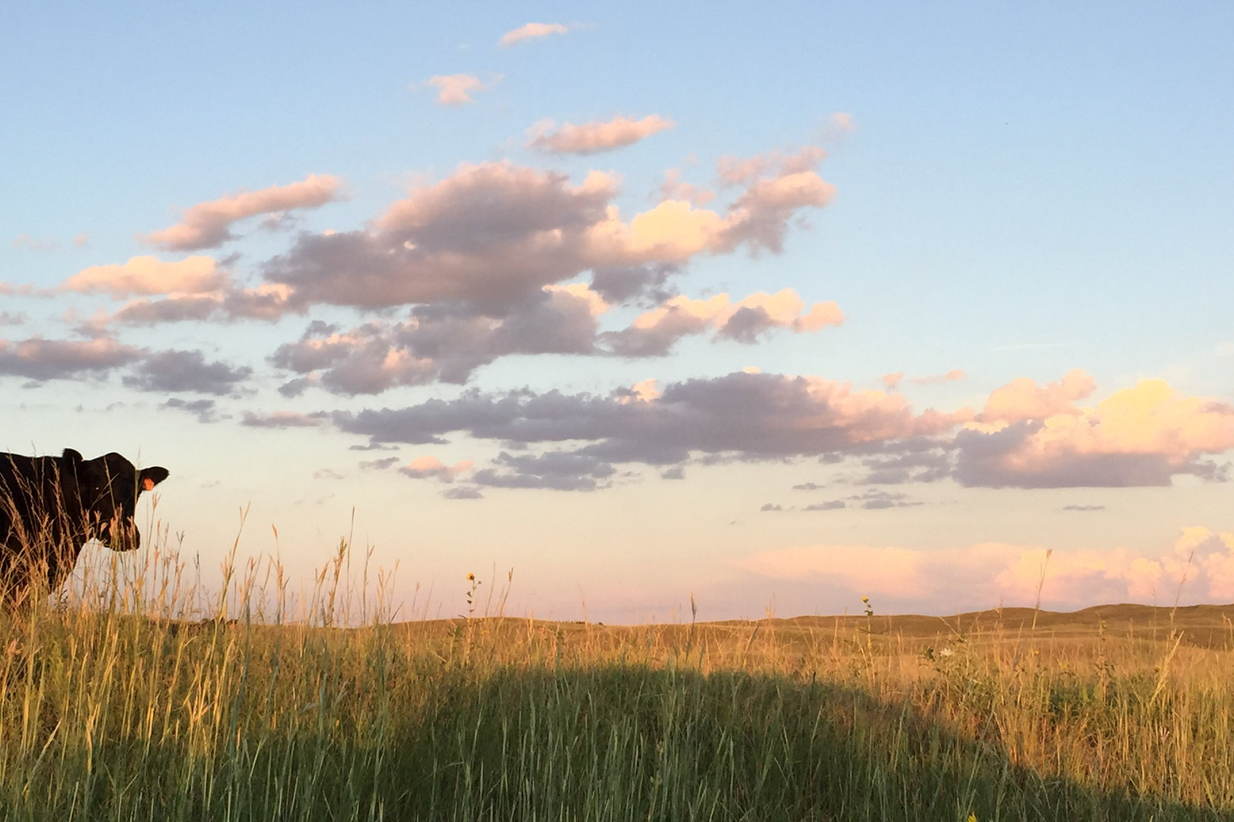 AL Ranch property picture 6 of 98