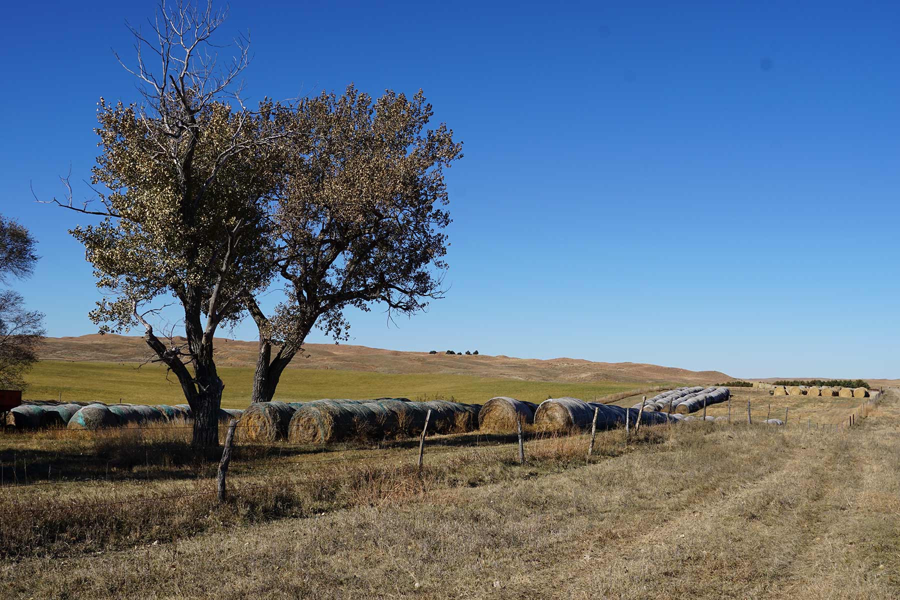 AL Ranch property picture 43 of 98