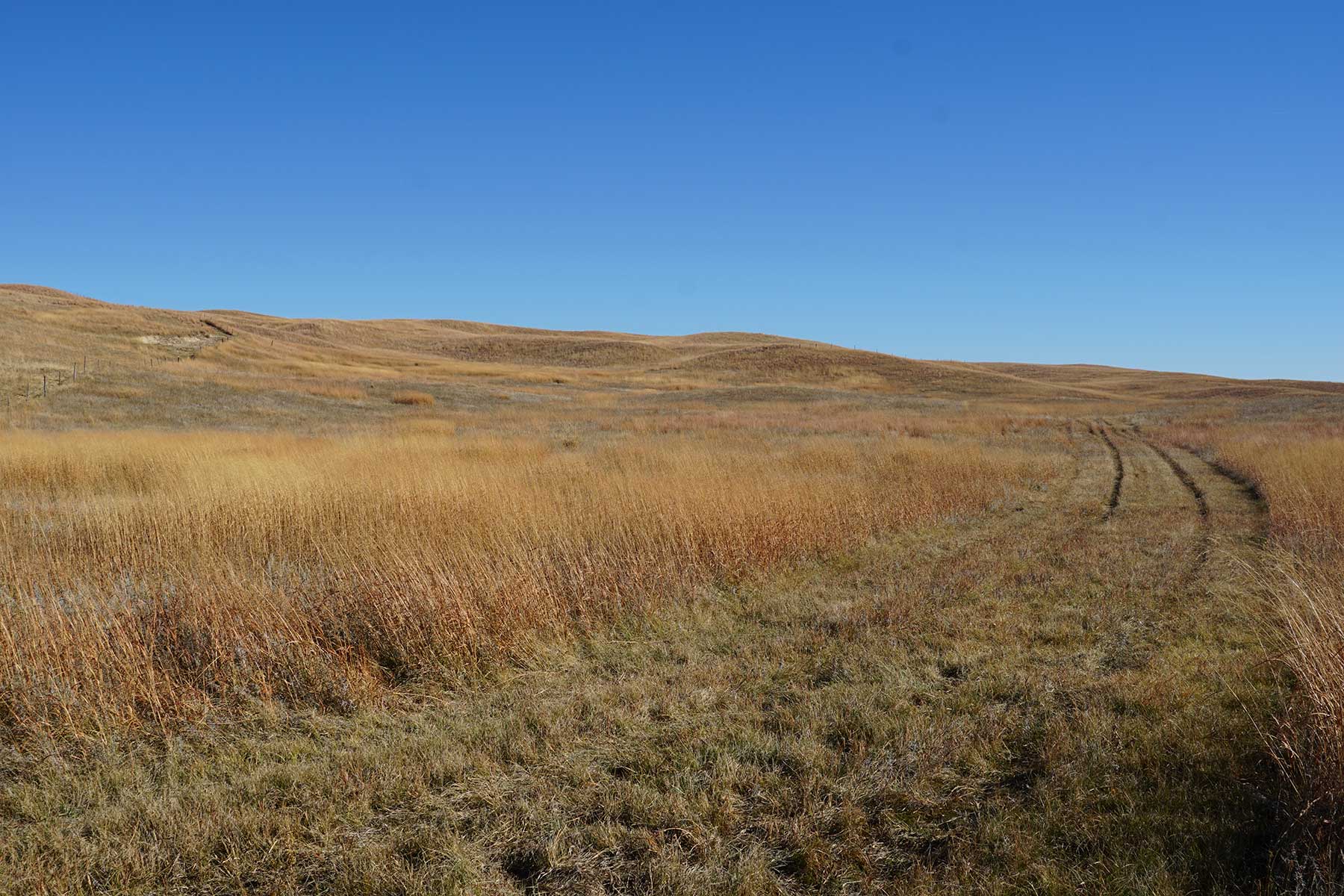 AL Ranch property picture 49 of 98