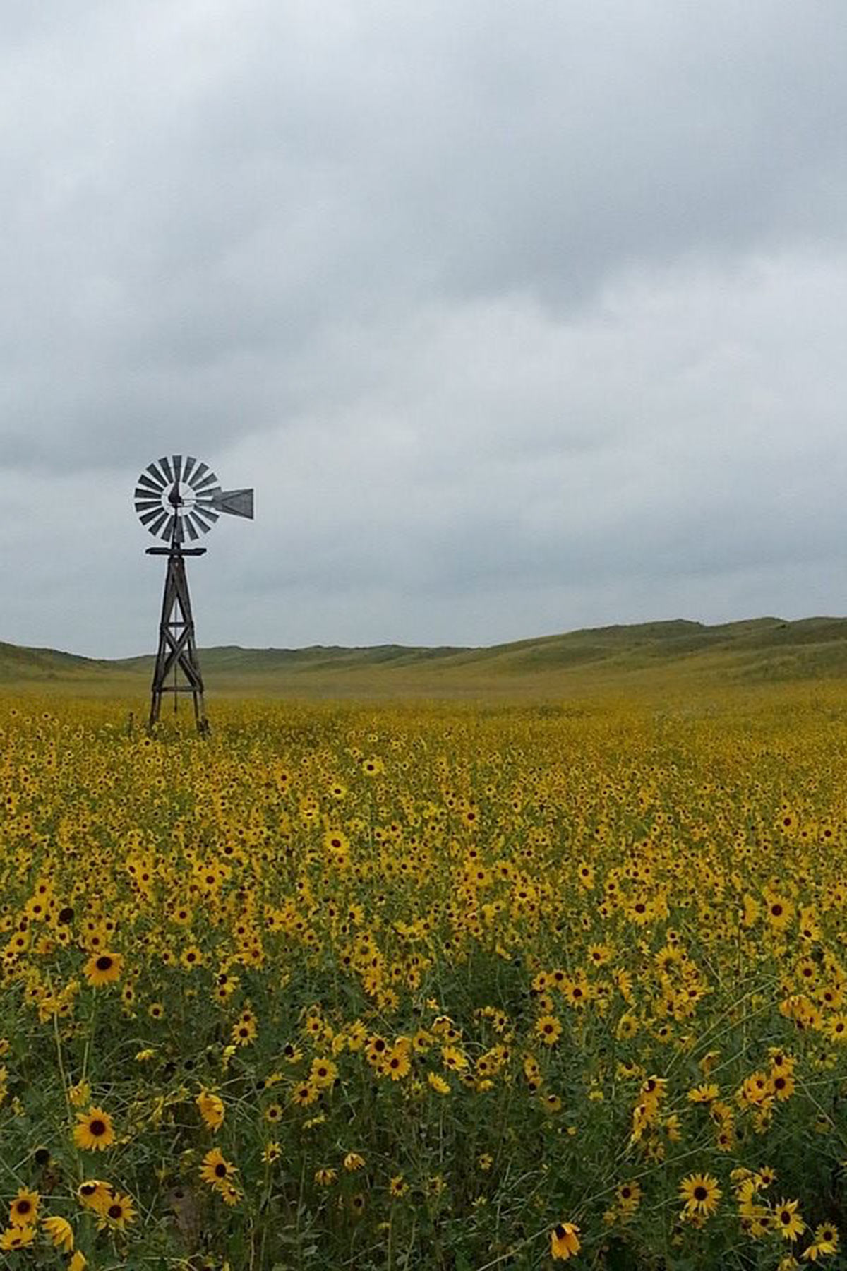 AL Ranch property picture 4 of 98