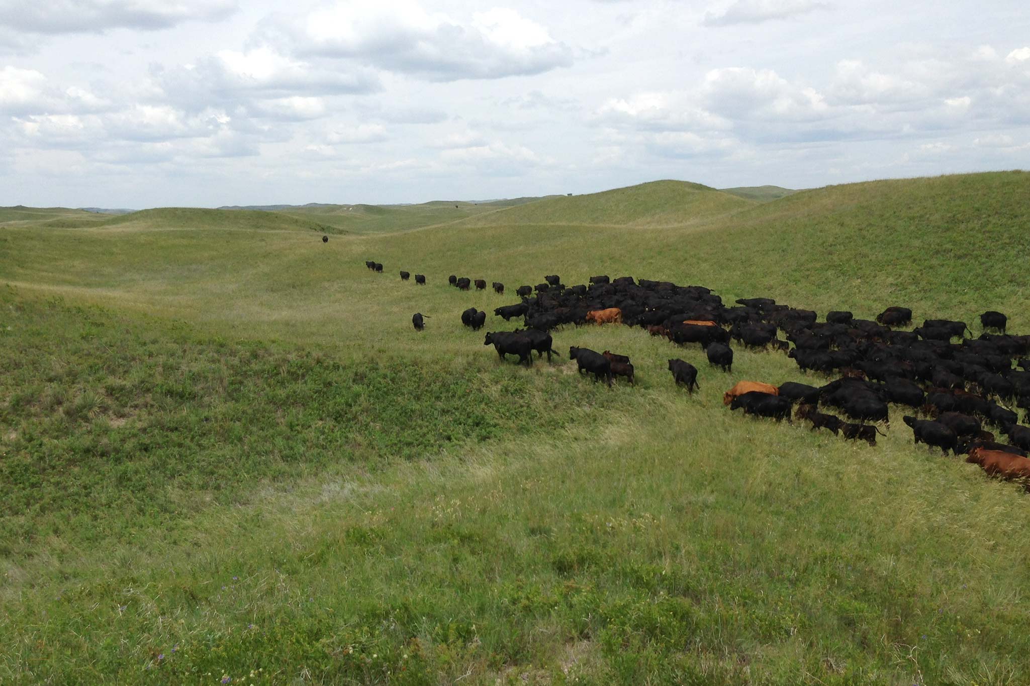 AL Ranch property picture 10 of 98