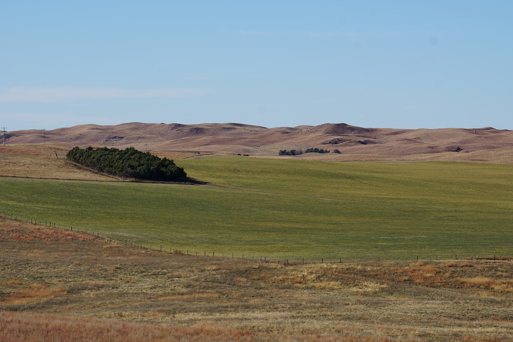 AL Ranch property picture 40 of 98