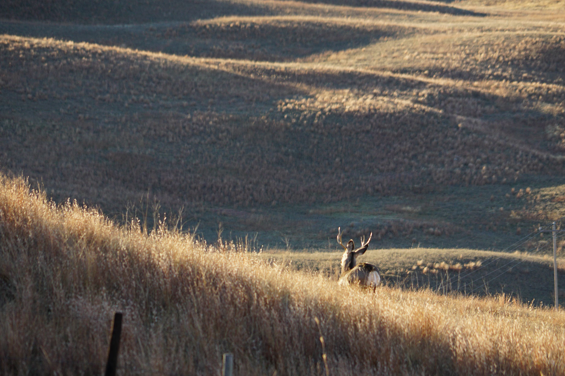 AL Ranch property picture 54 of 98