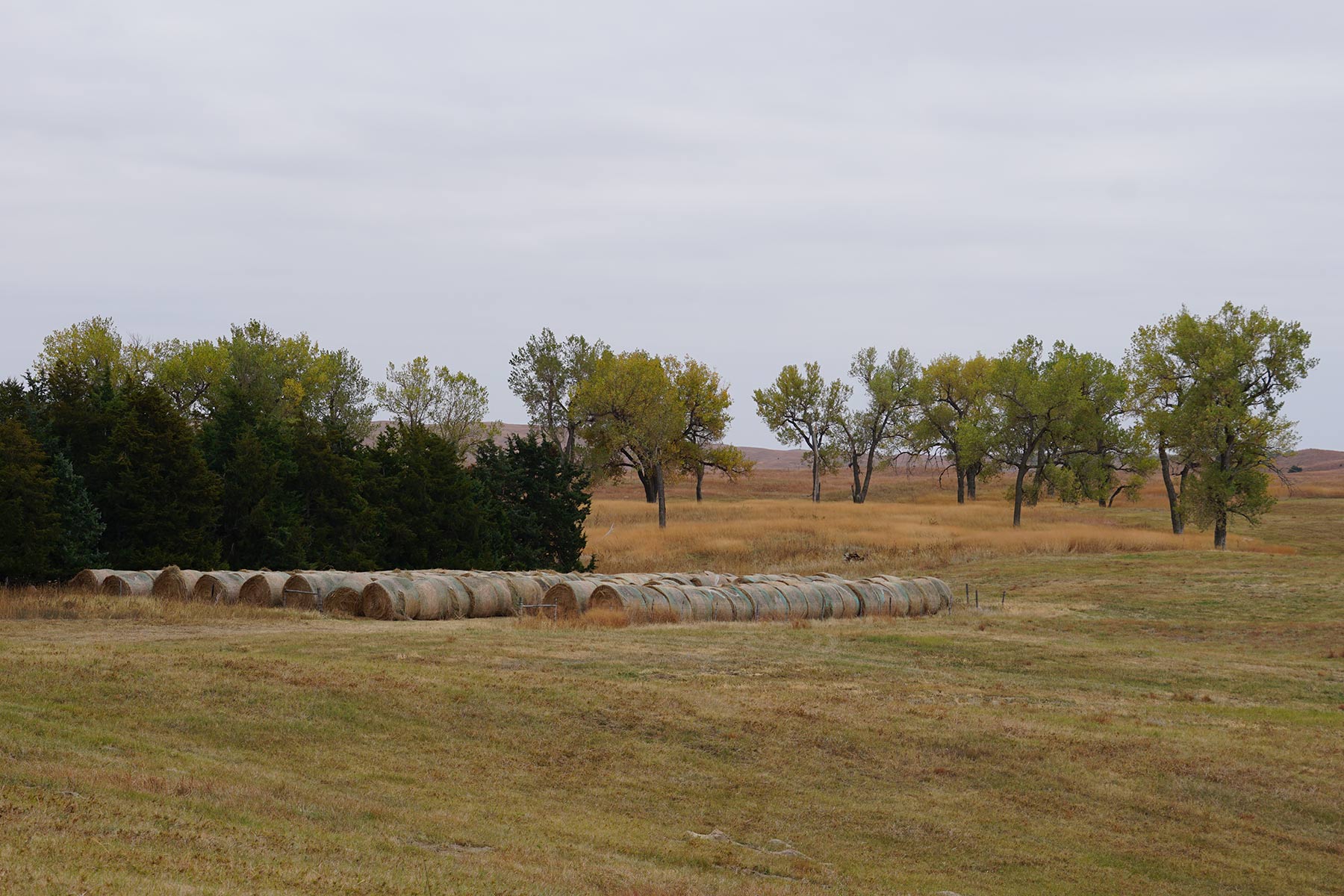 AL Ranch property picture 36 of 98