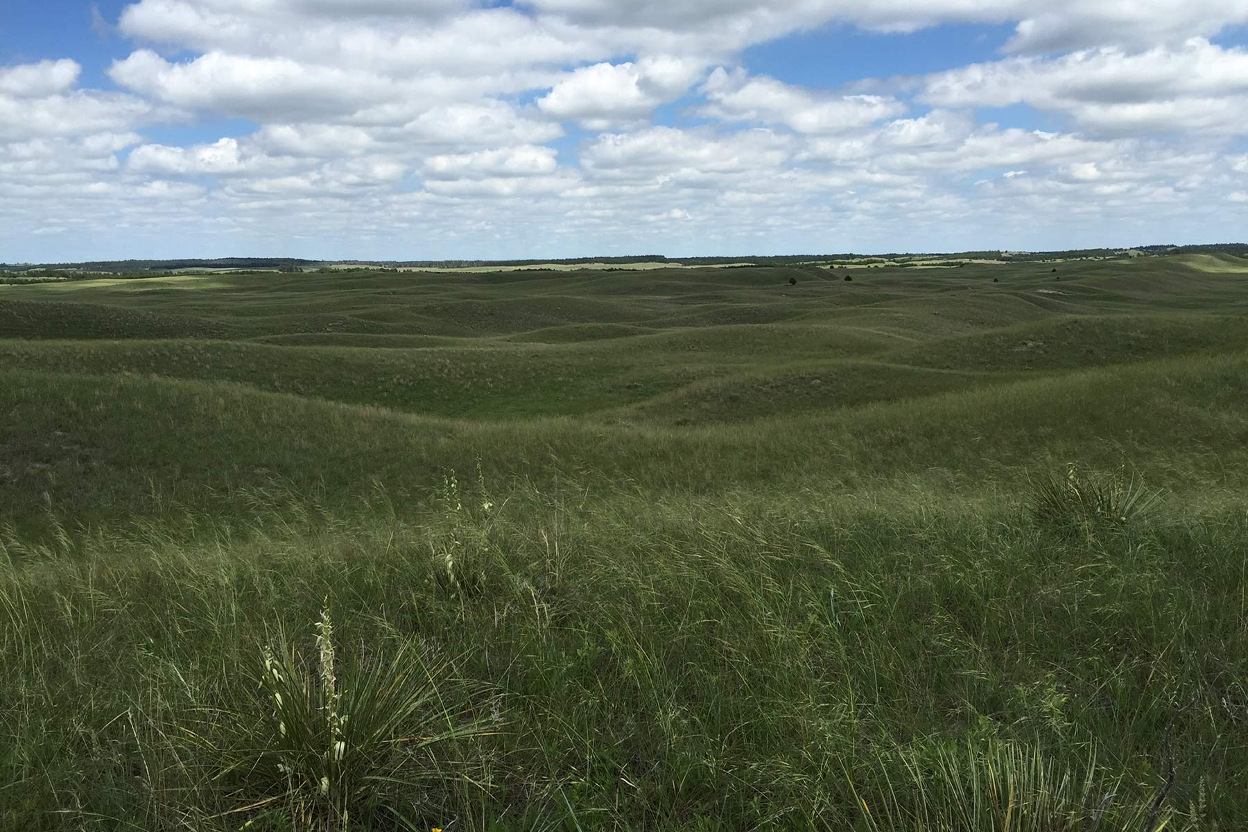 AL Ranch property picture 81 of 98