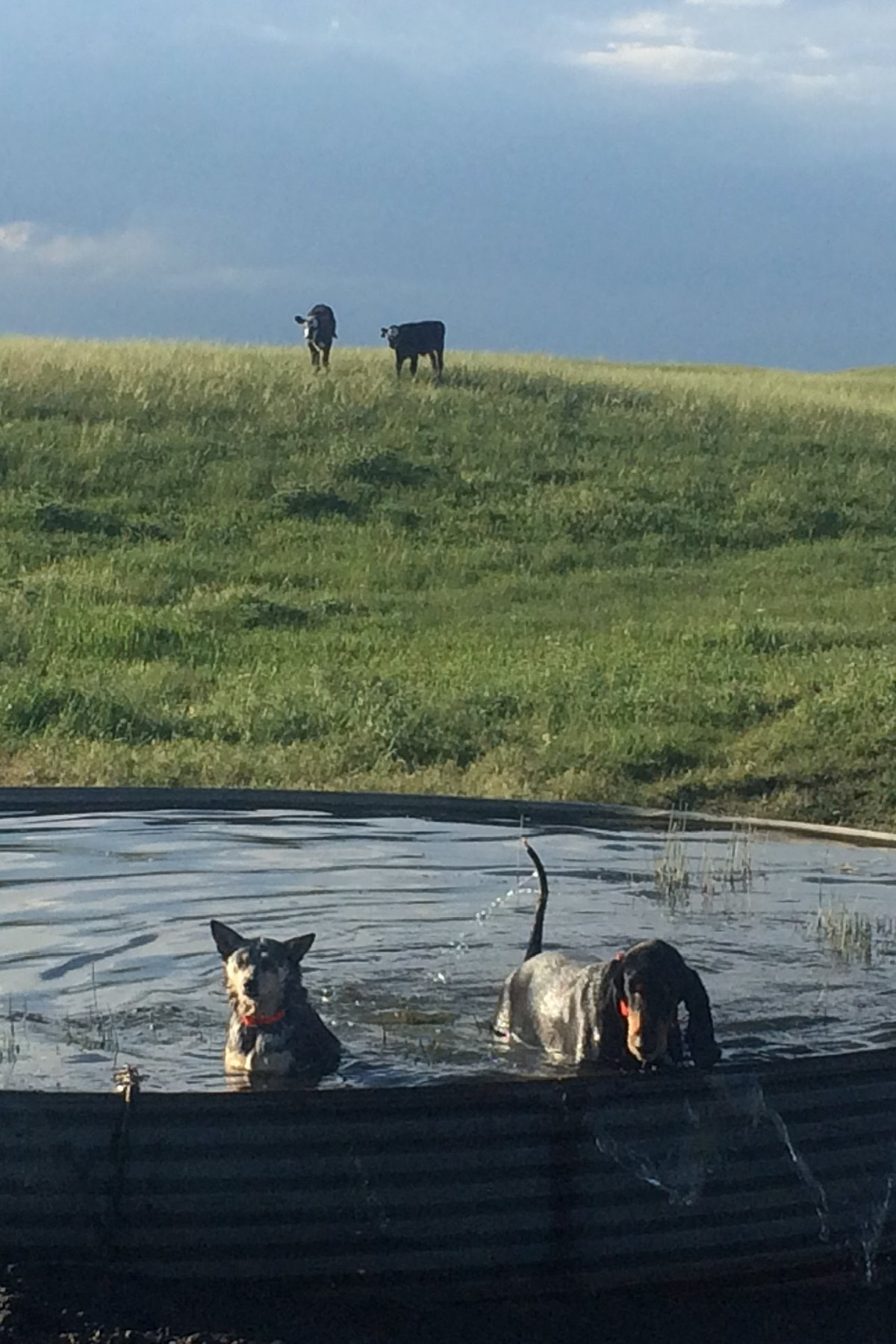 AL Ranch property picture 80 of 98