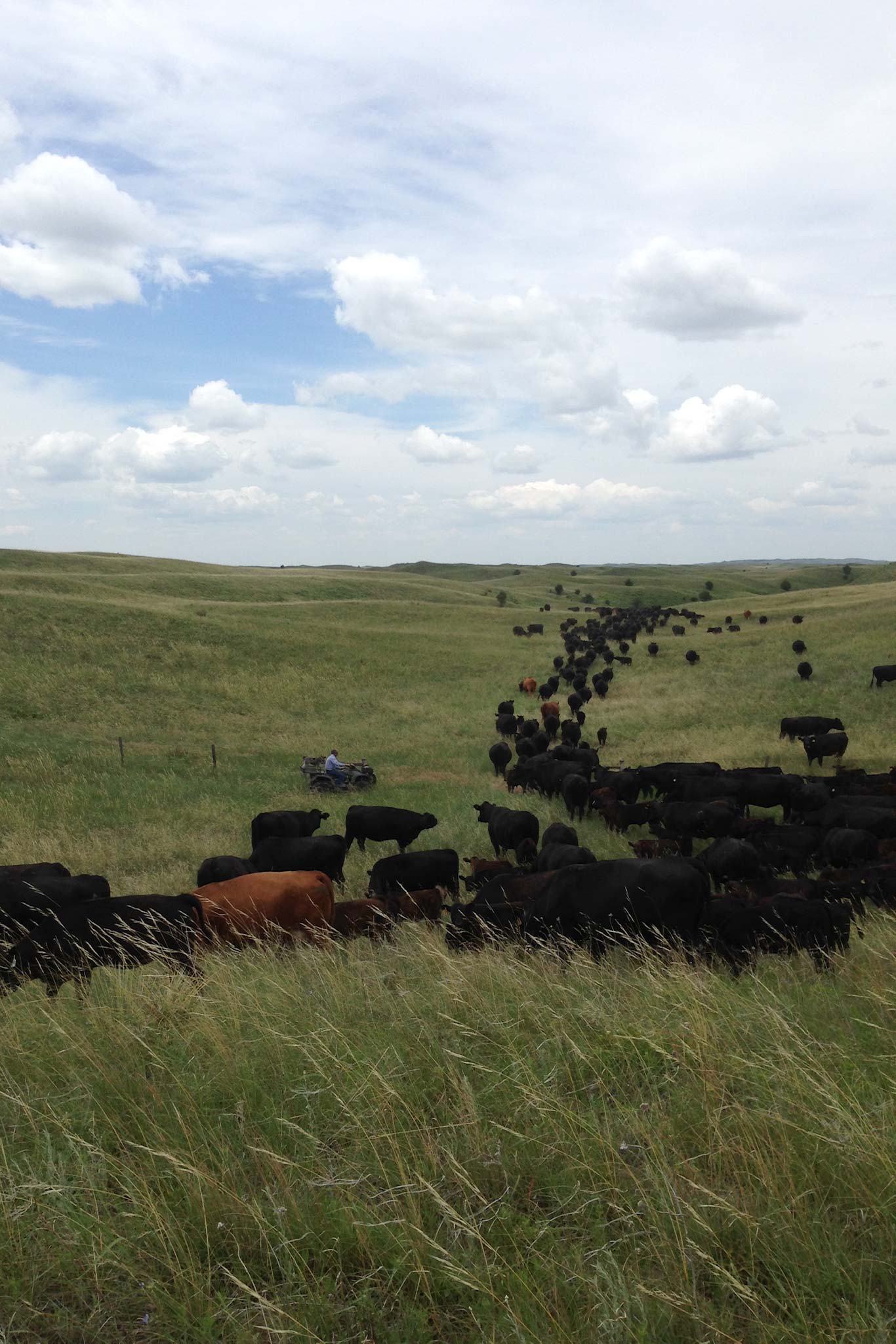 AL Ranch property picture 76 of 98