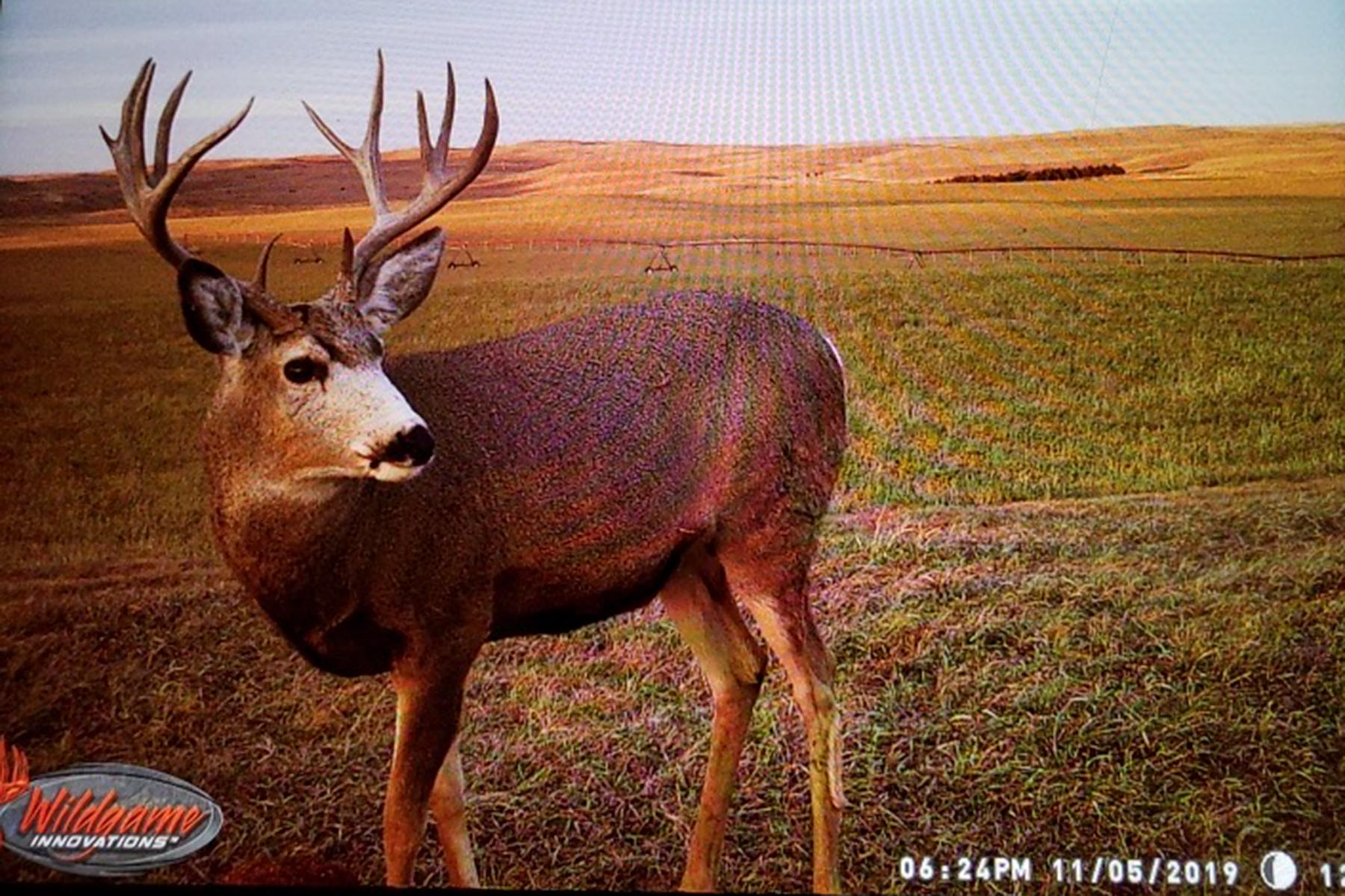 AL Ranch property picture 5 of 98