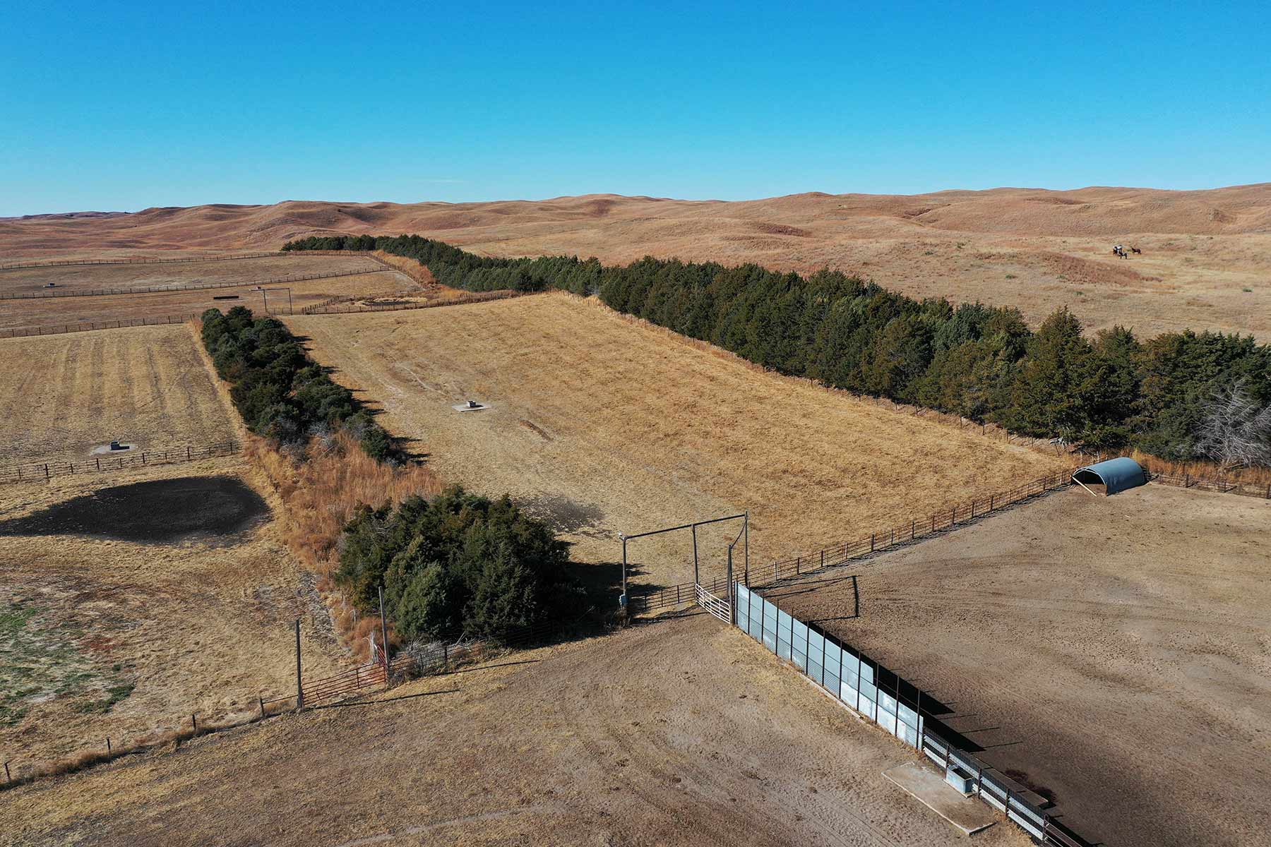 AL Ranch property picture 16 of 98