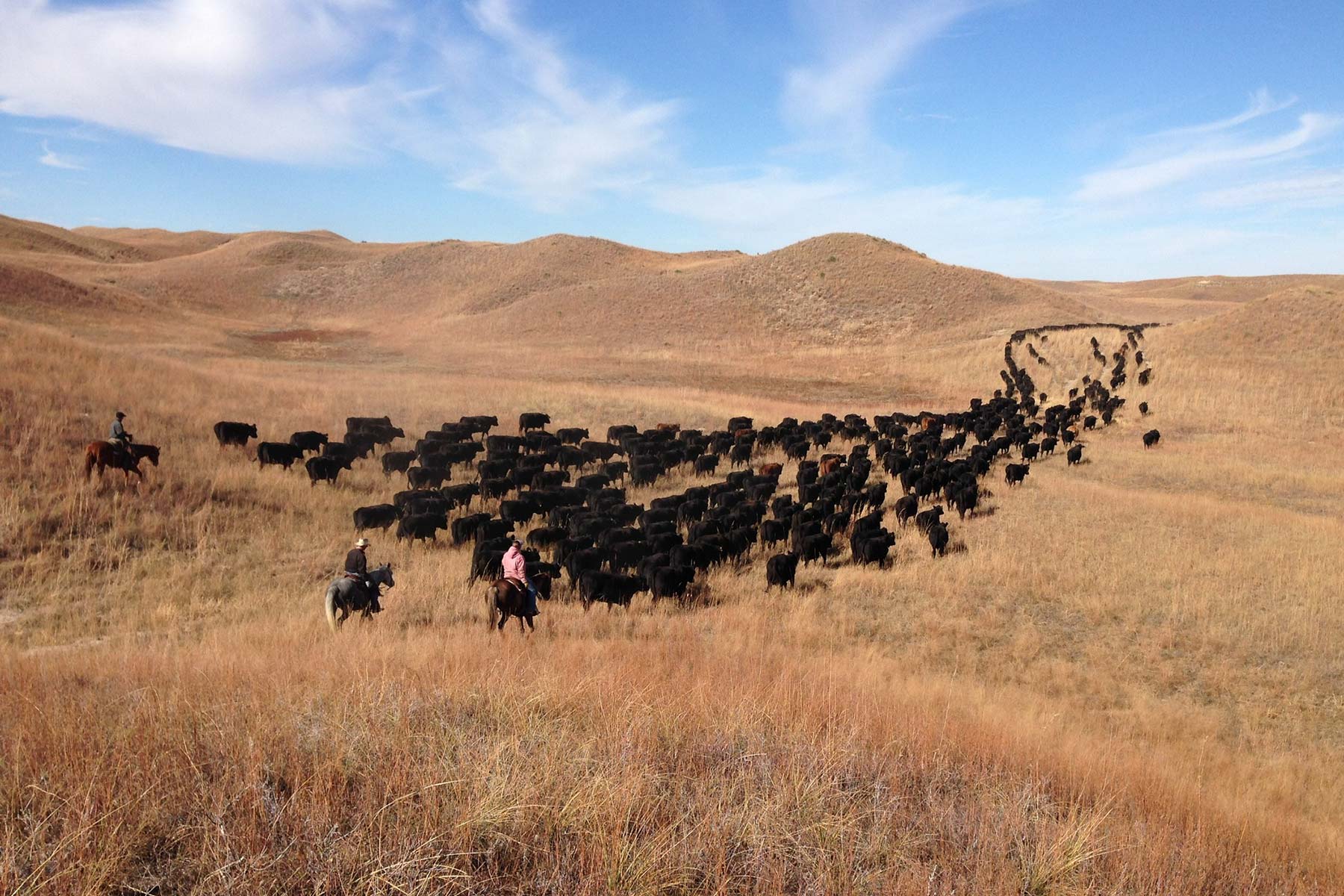 AL Ranch property picture 92 of 98