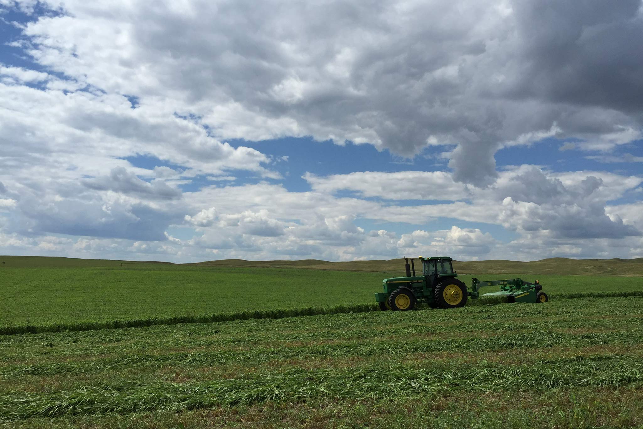 AL Ranch property picture 47 of 98