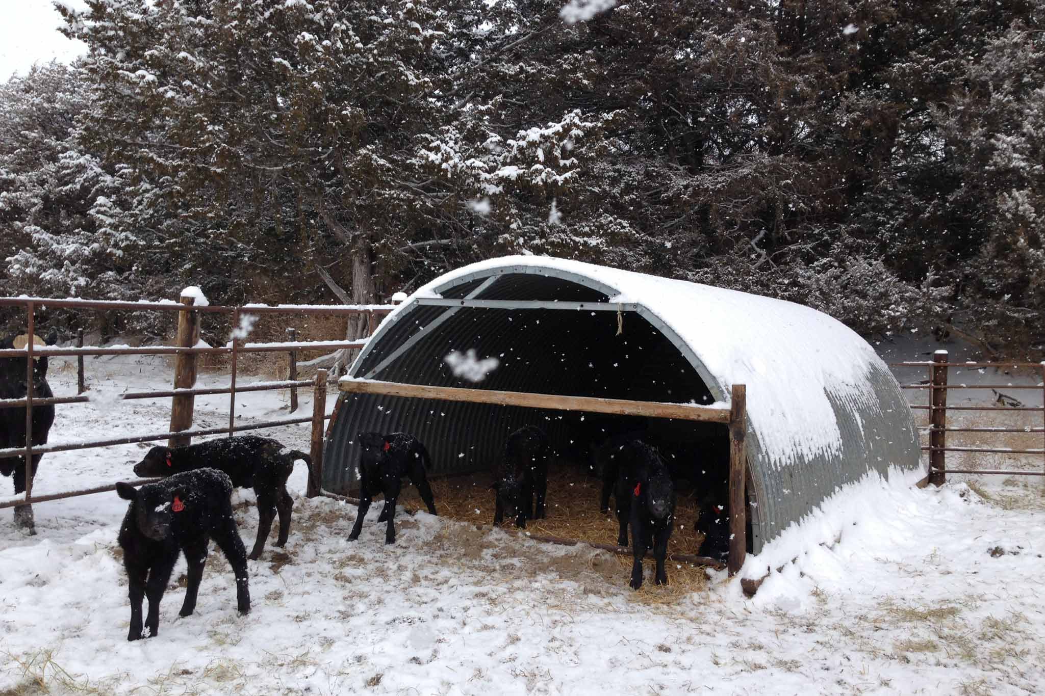 AL Ranch property picture 74 of 98