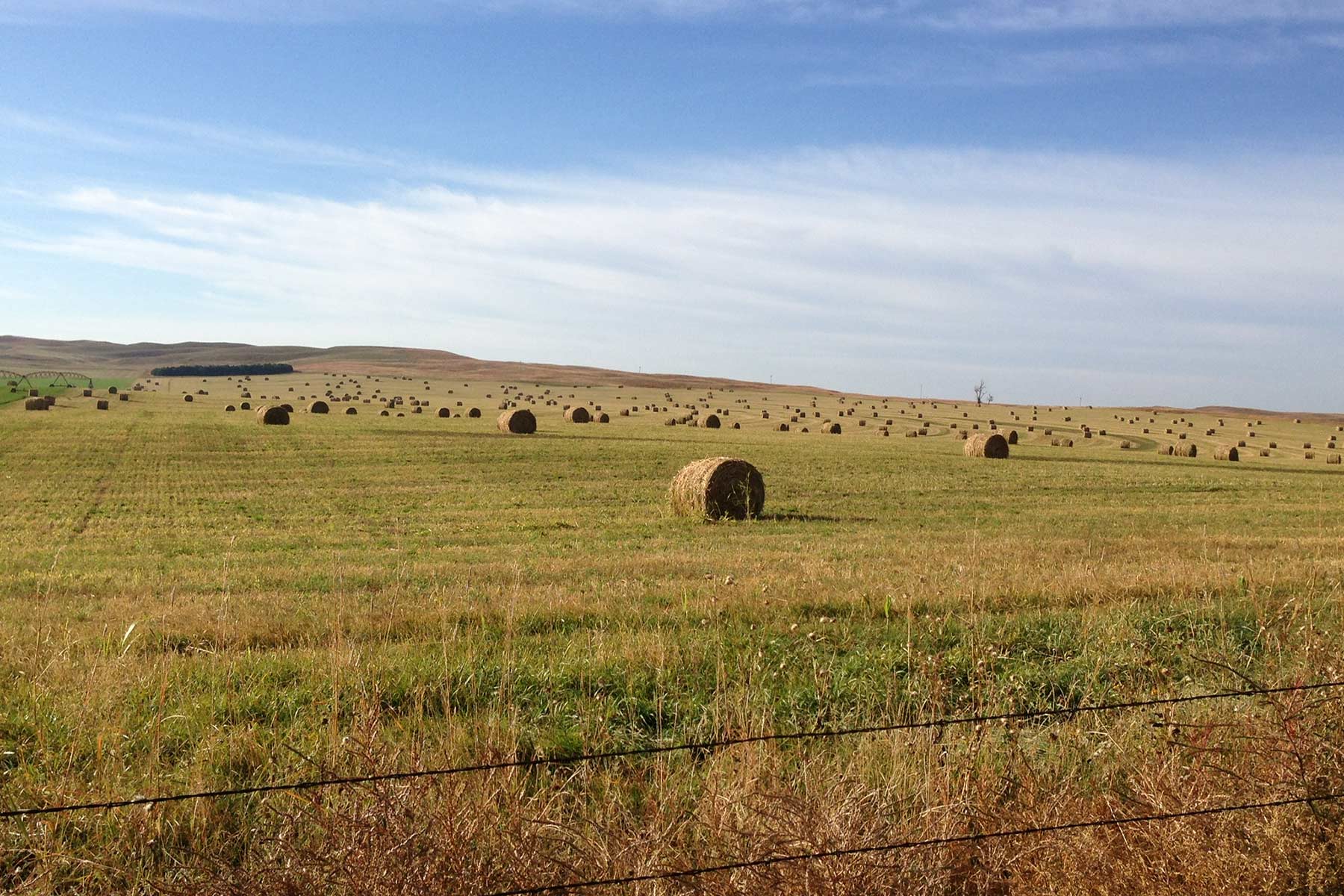 AL Ranch property picture 86 of 98