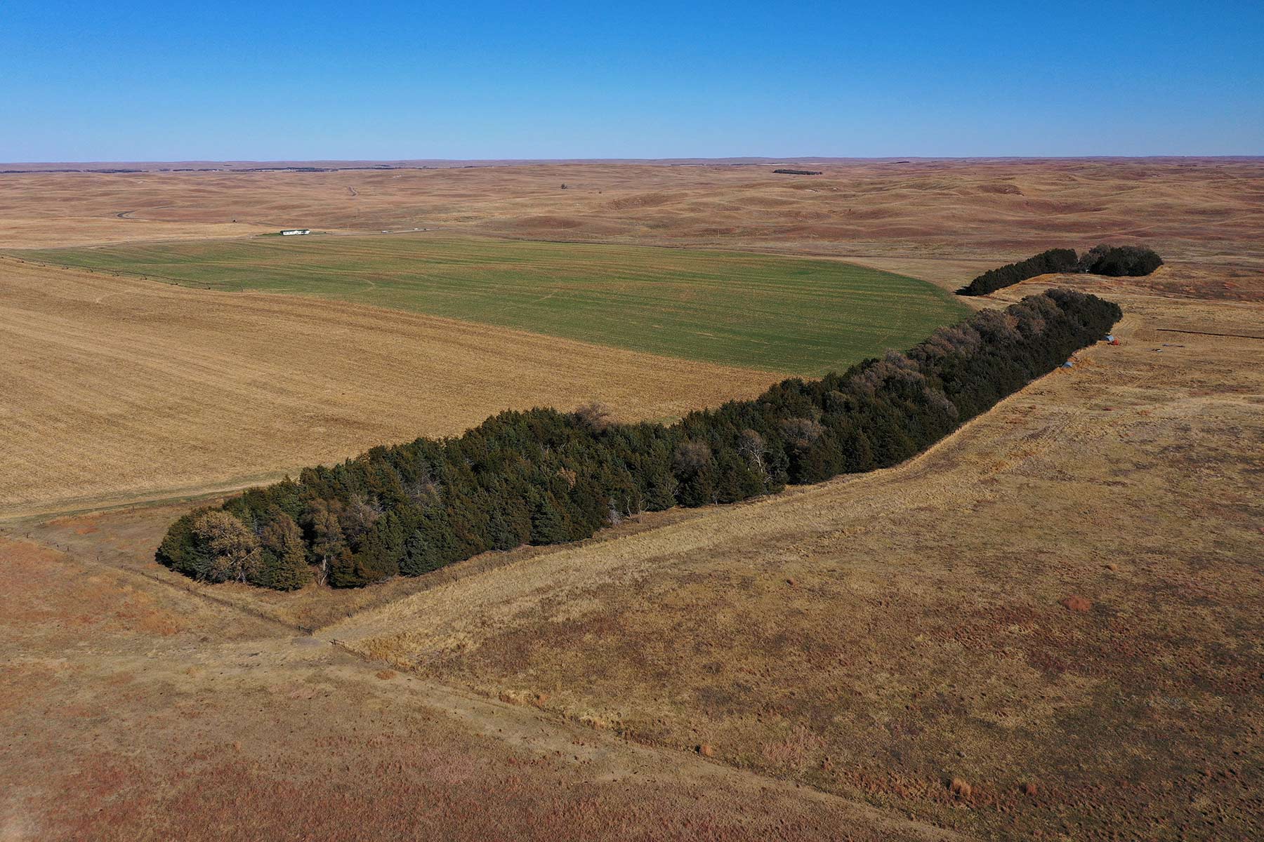 AL Ranch property picture 25 of 98