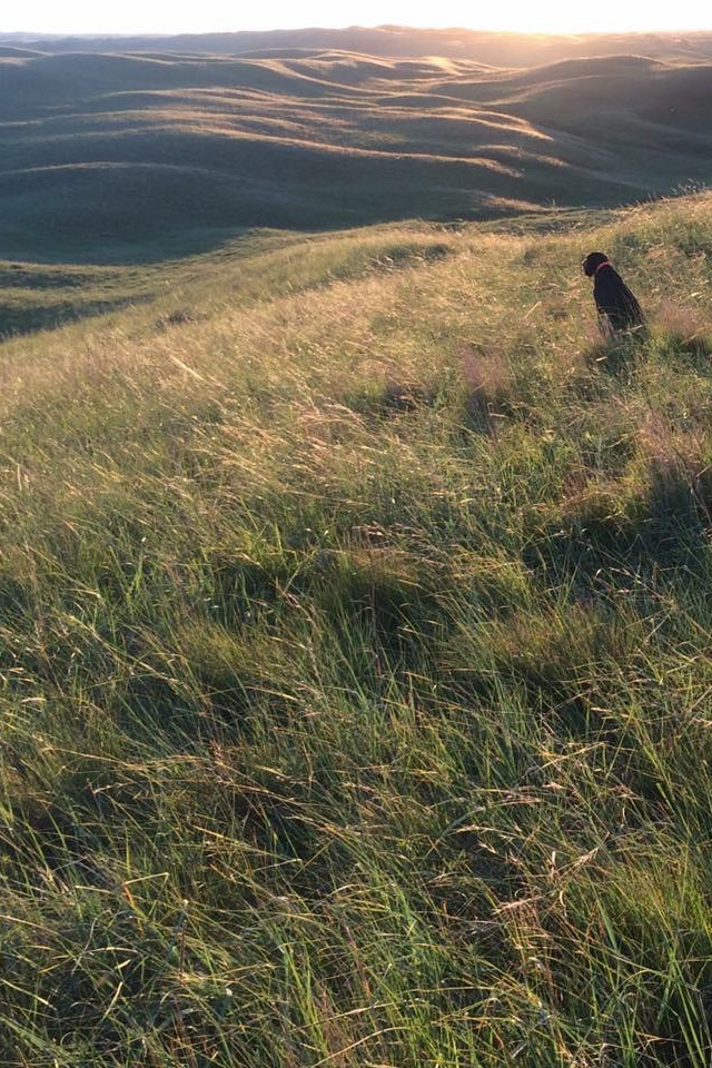 AL Ranch property picture 67 of 98