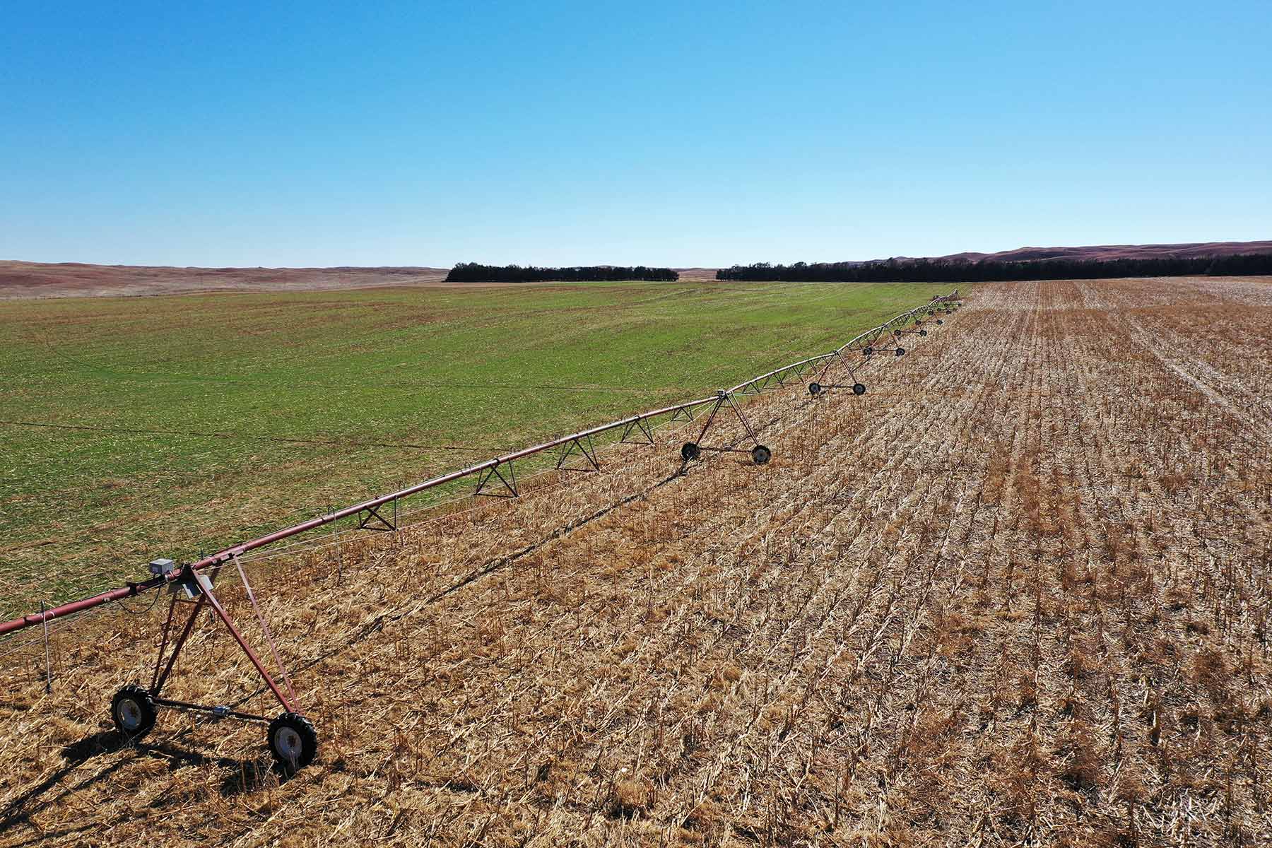 AL Ranch property picture 13 of 98