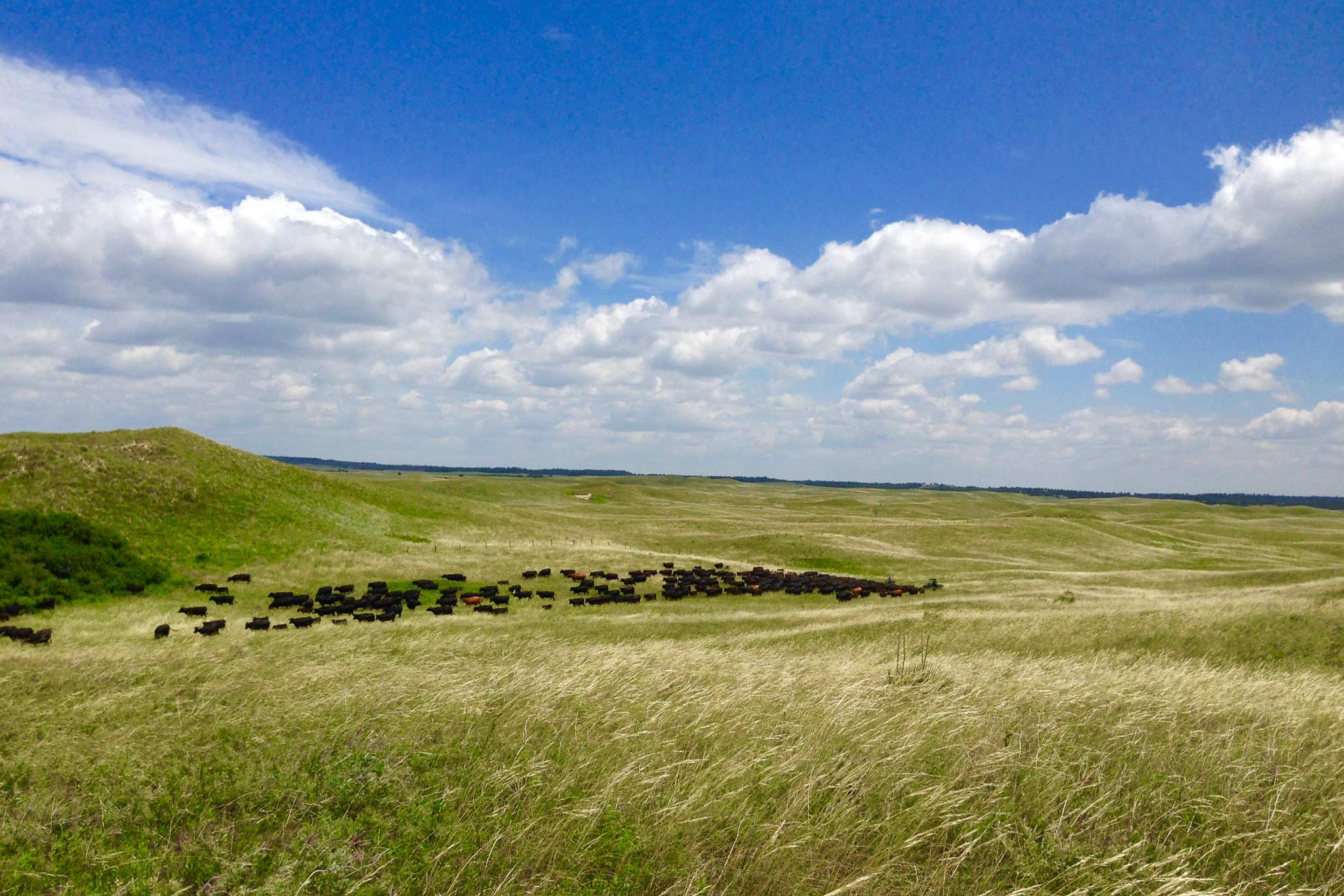 AL Ranch property picture 77 of 98