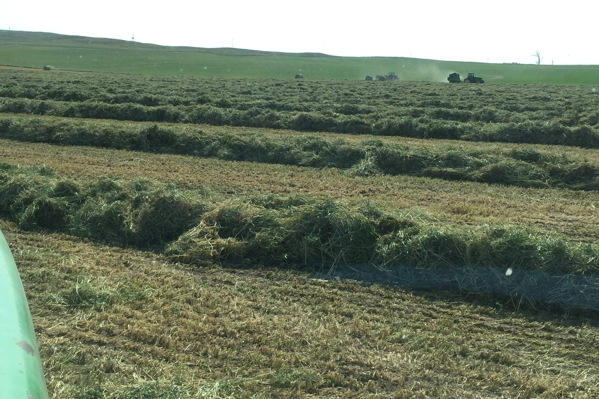 AL Ranch property picture 71 of 98