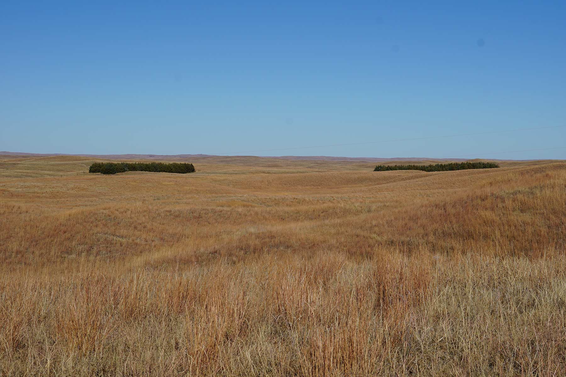 AL Ranch property picture 41 of 98