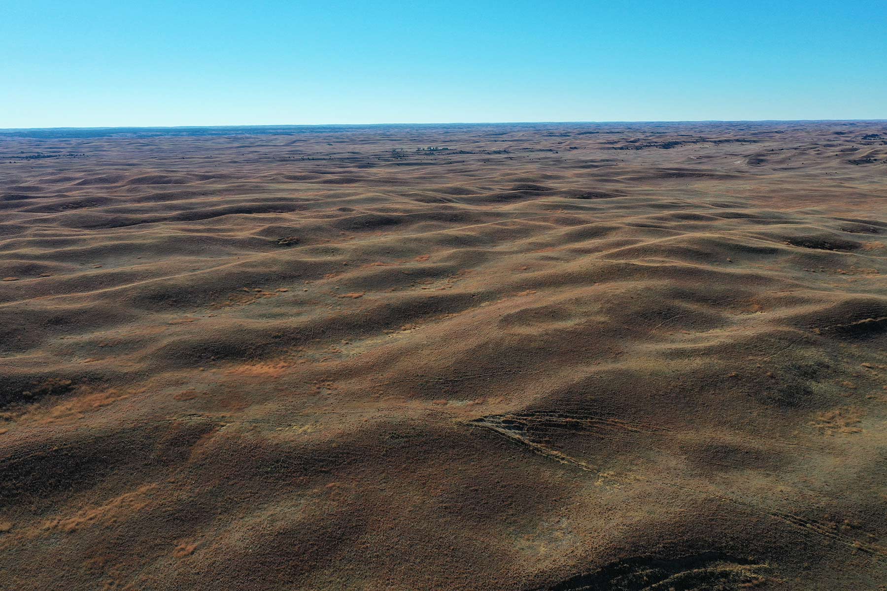 AL Ranch property picture 26 of 98